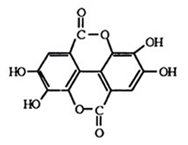 Molecules 25 01449 i001 Molecules 25 01449 i001