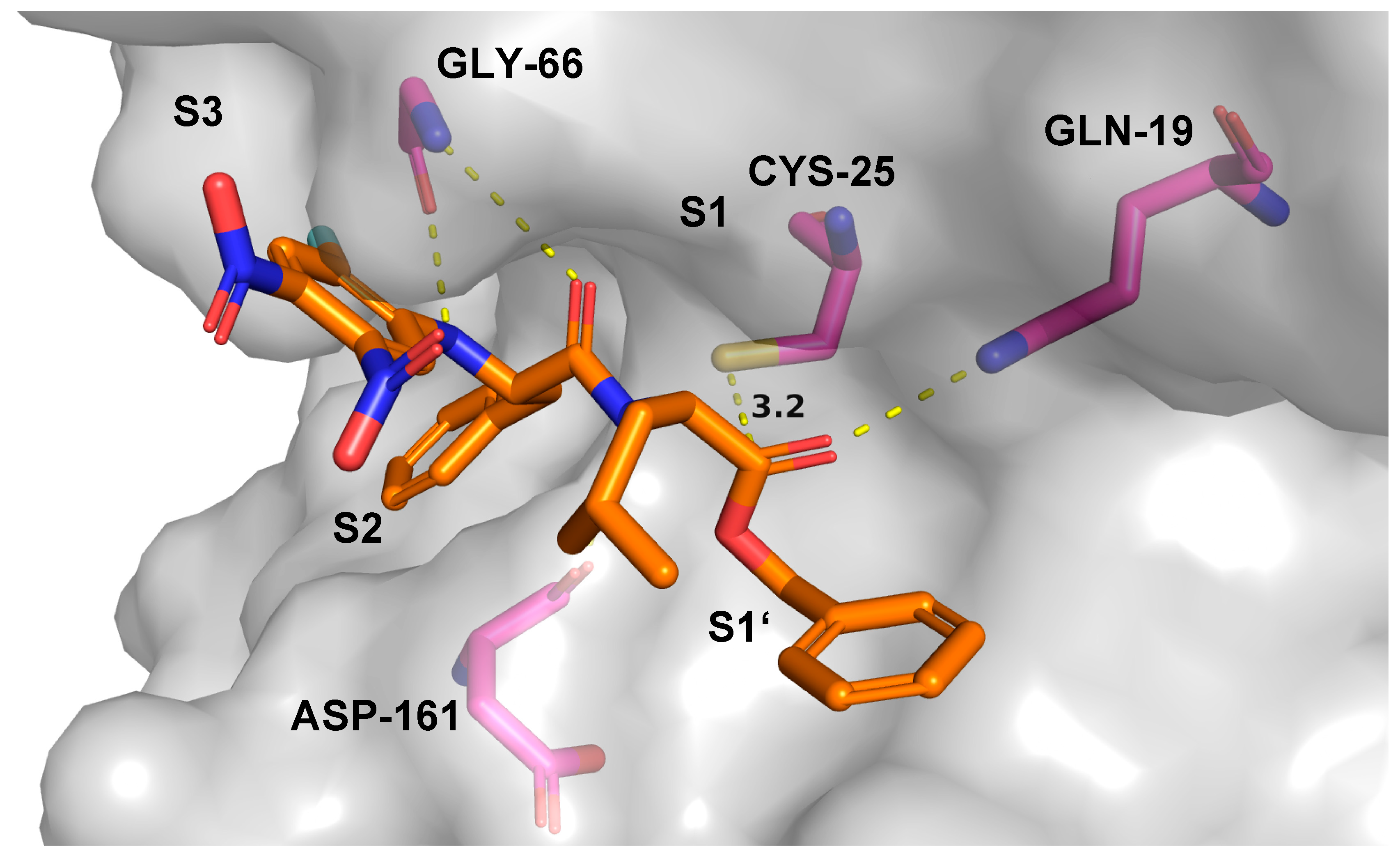 Molecules 25 01451 g007