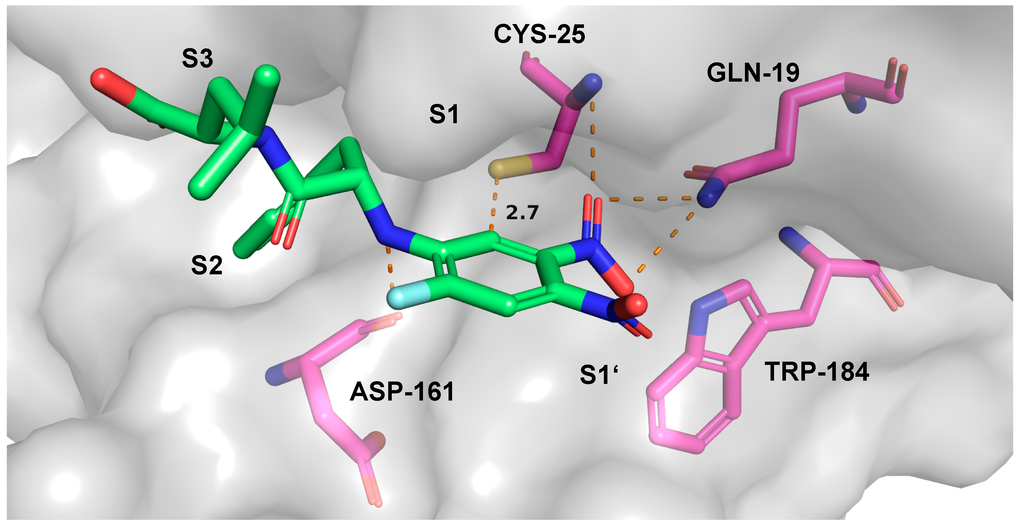 Molecules 25 01451 g009