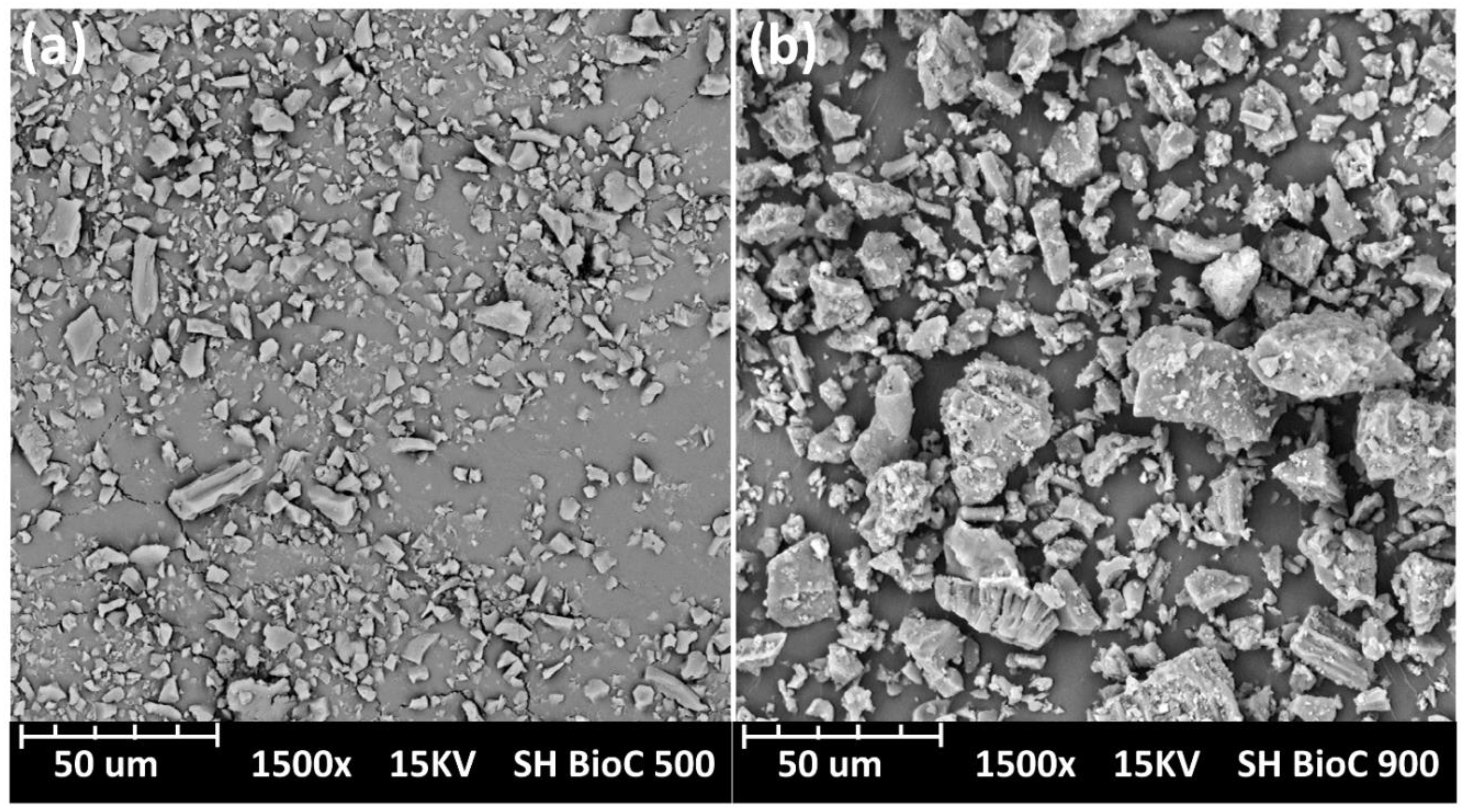 Molecules 25 01455 g001 Molecules 25 01455 g001