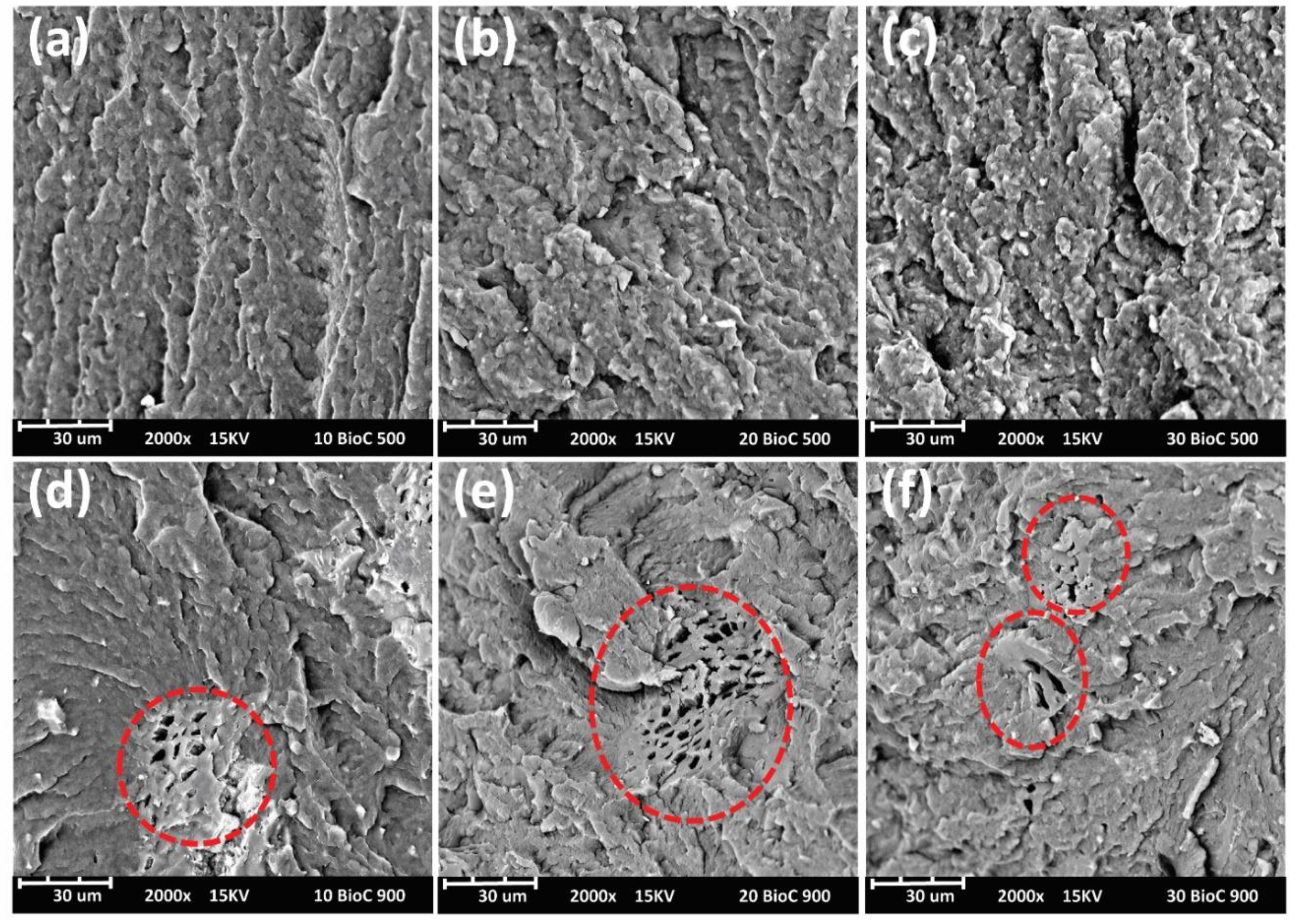 Molecules 25 01455 g011 Molecules 25 01455 g011