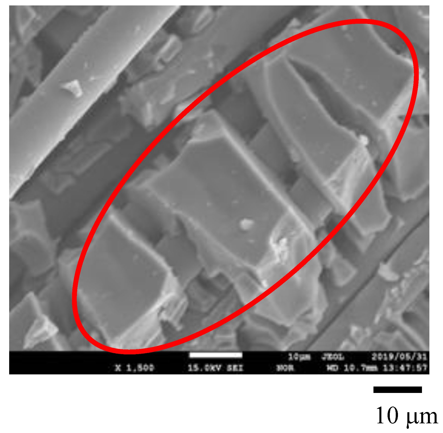 Molecules 25 01468 g002 Molecules 25 01468 g002