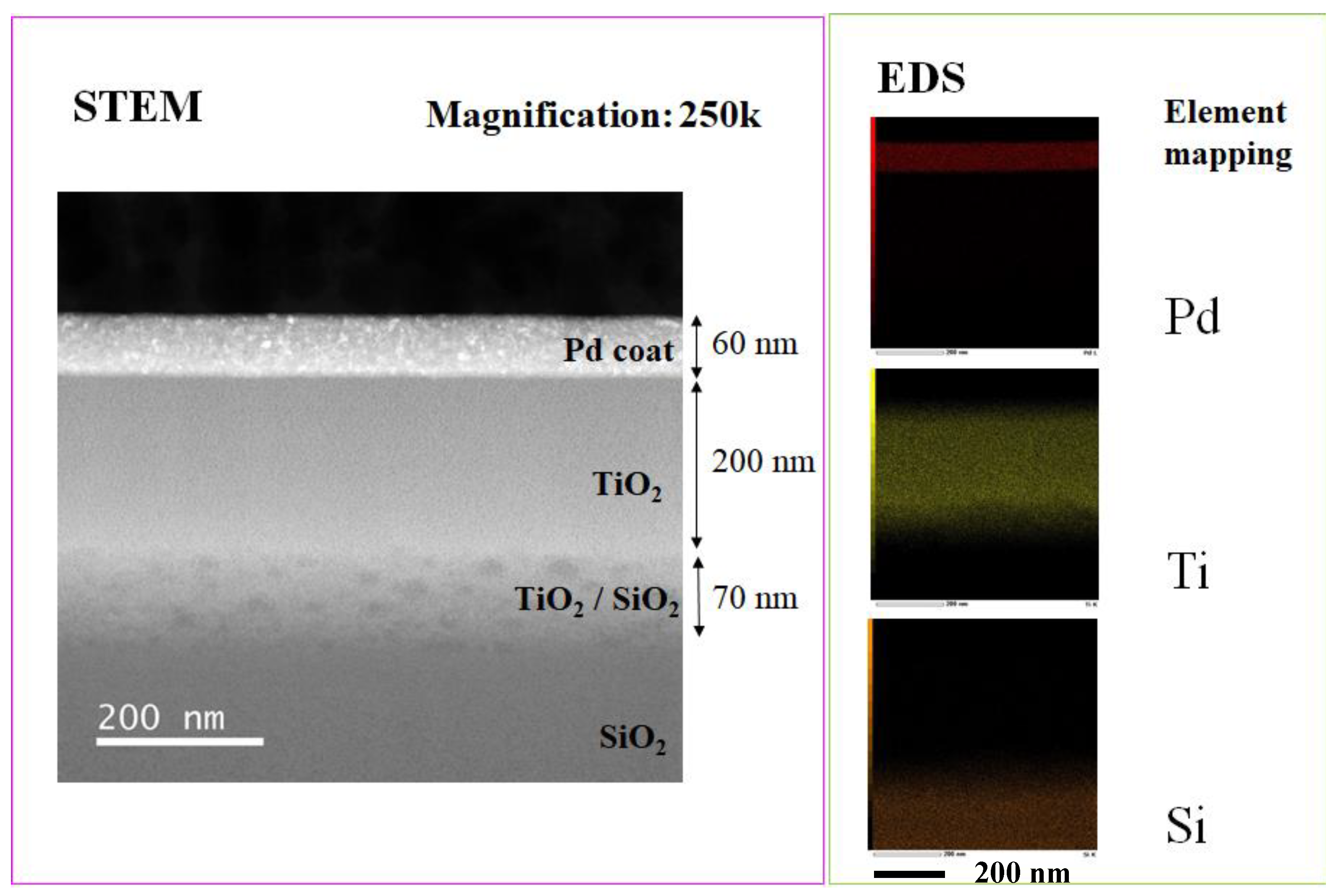 Molecules 25 01468 g005 Molecules 25 01468 g005