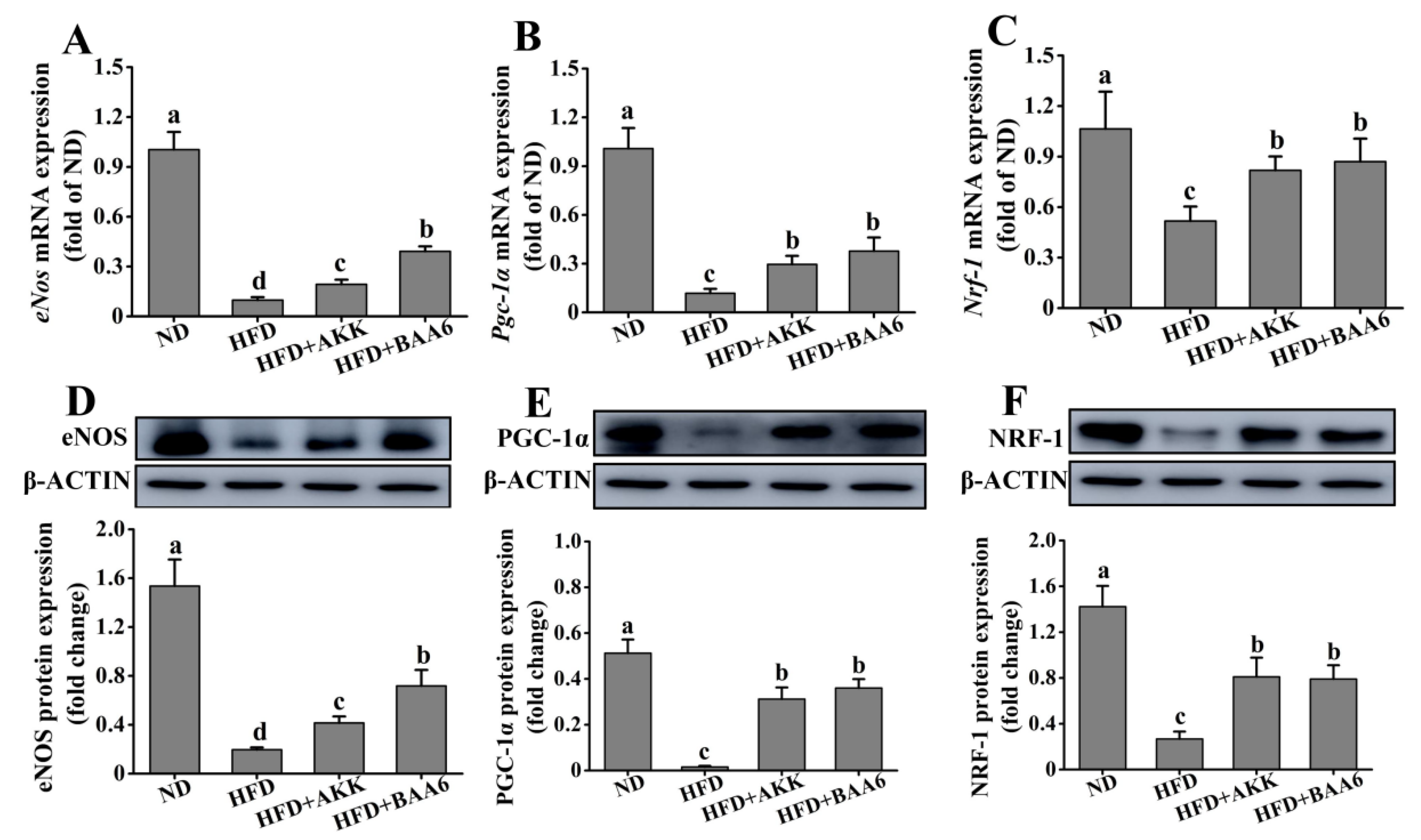 Molecules 25 01490 g005