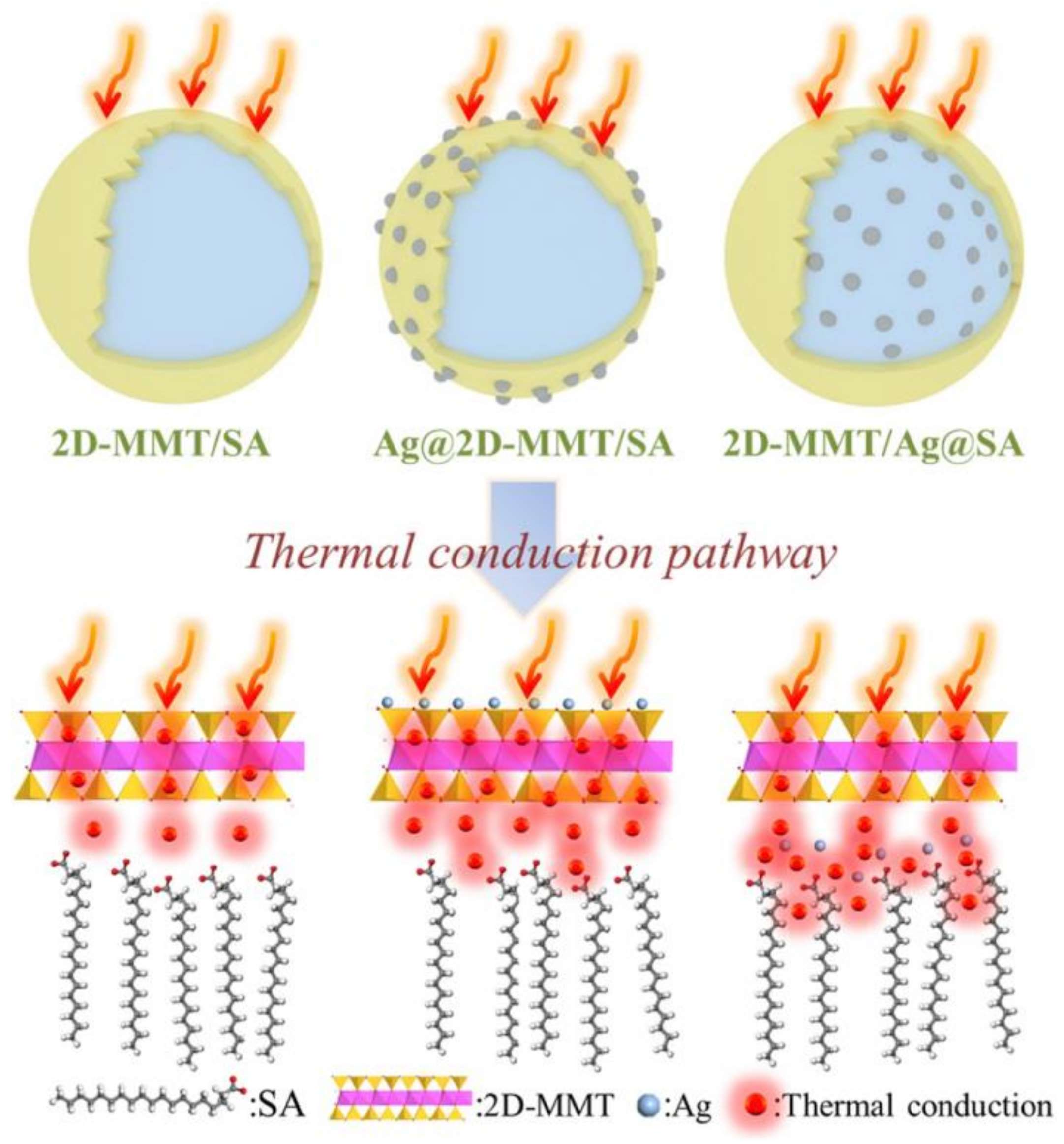 Molecules 25 01504 g004