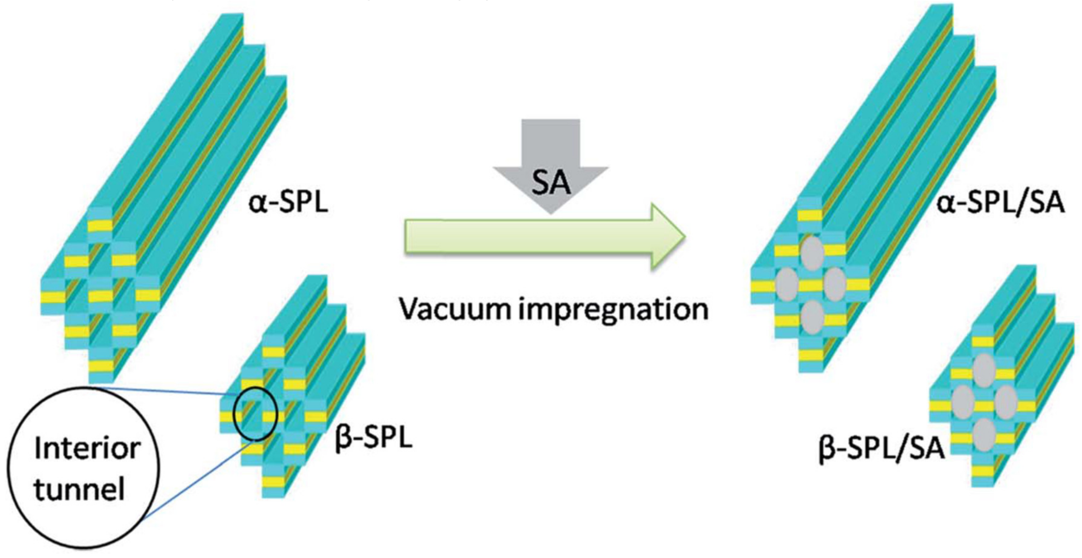 Molecules 25 01504 g005