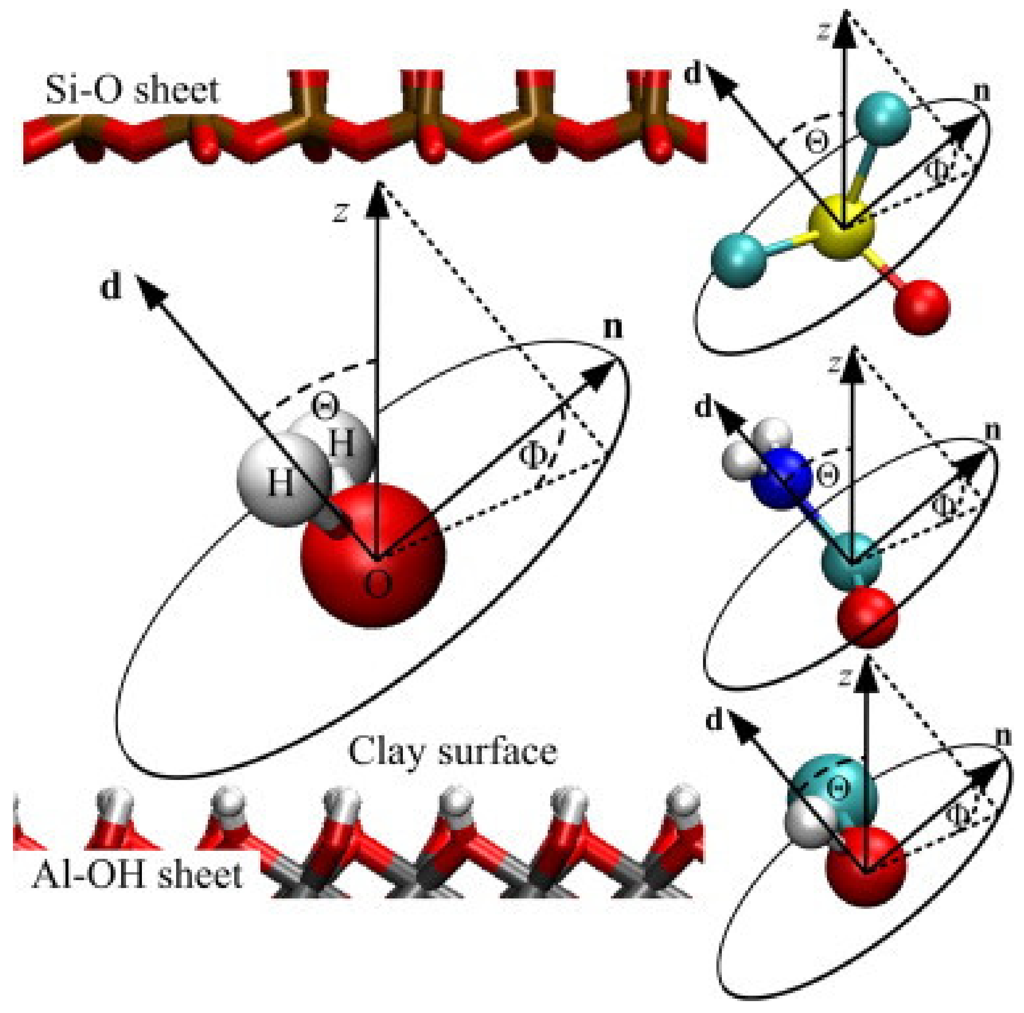 Molecules 25 01504 g006
