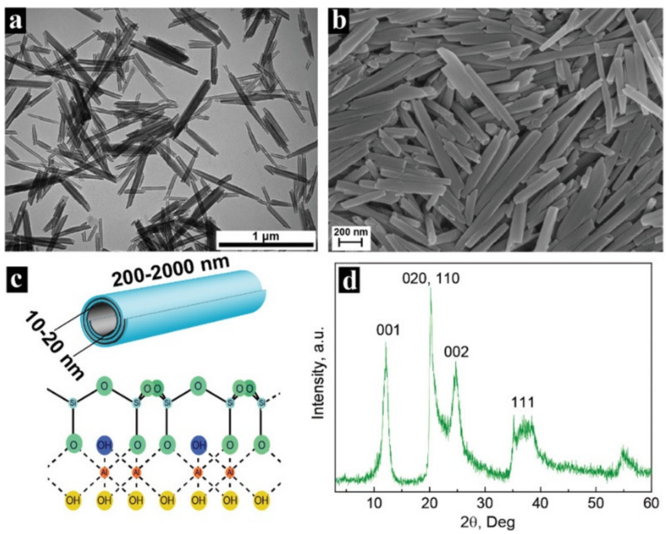 Molecules 25 01504 g008