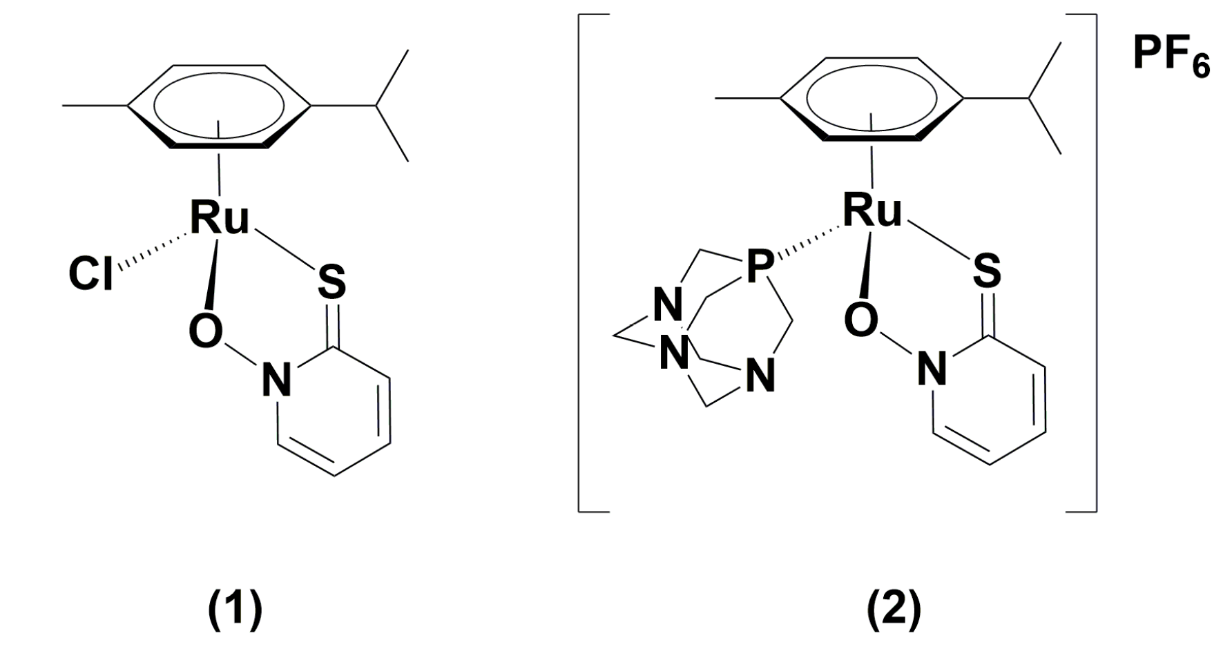Molecules 25 01512 g001