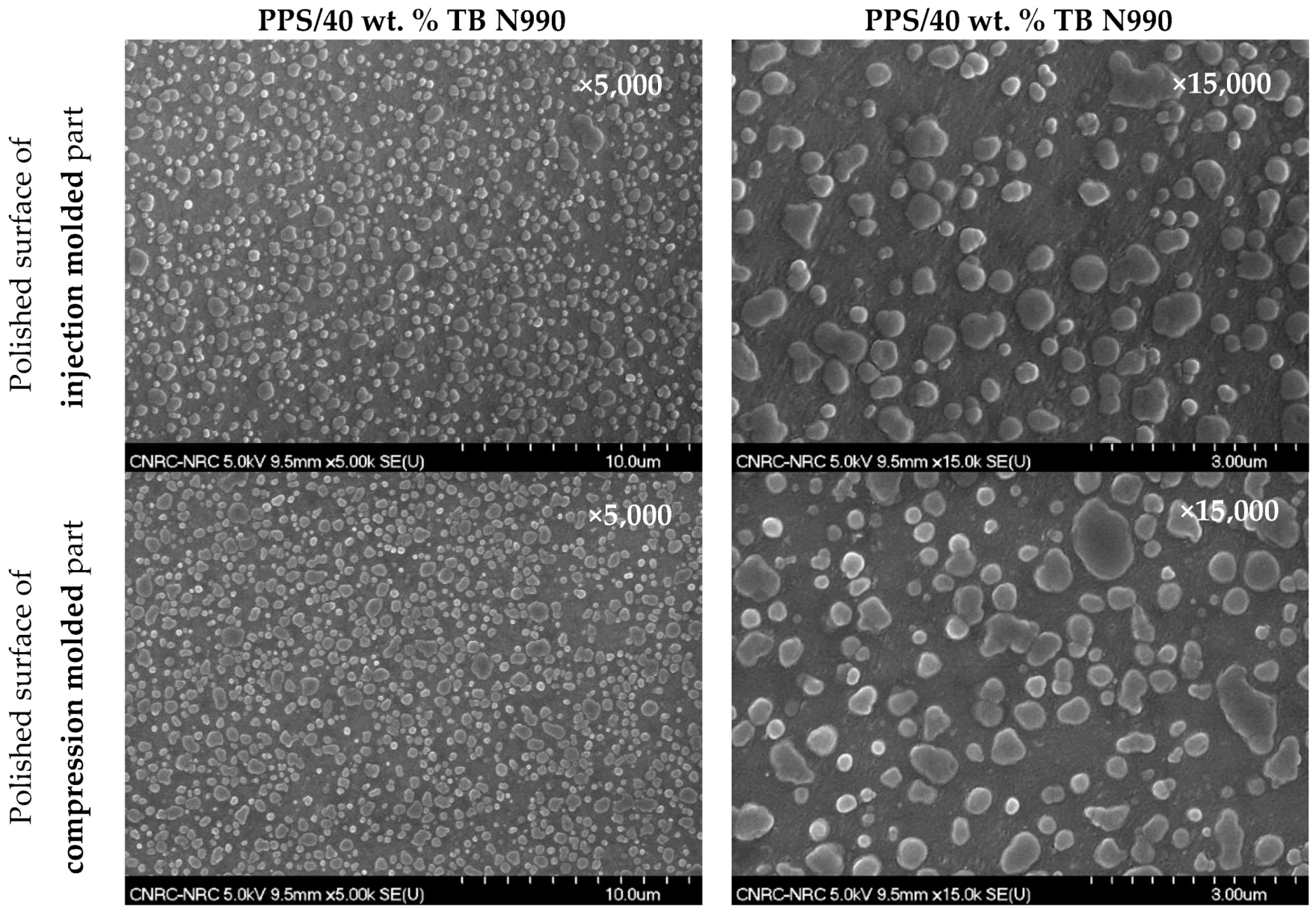 Molecules 25 01517 g008 Molecules 25 01517 g008