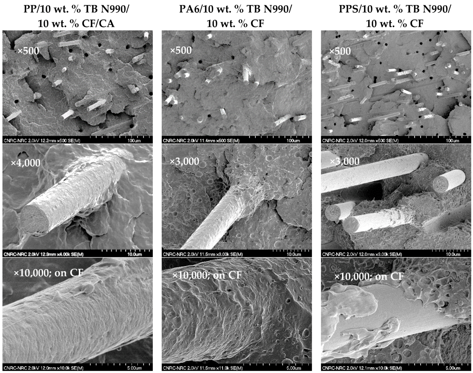 Molecules 25 01517 g010 Molecules 25 01517 g010
