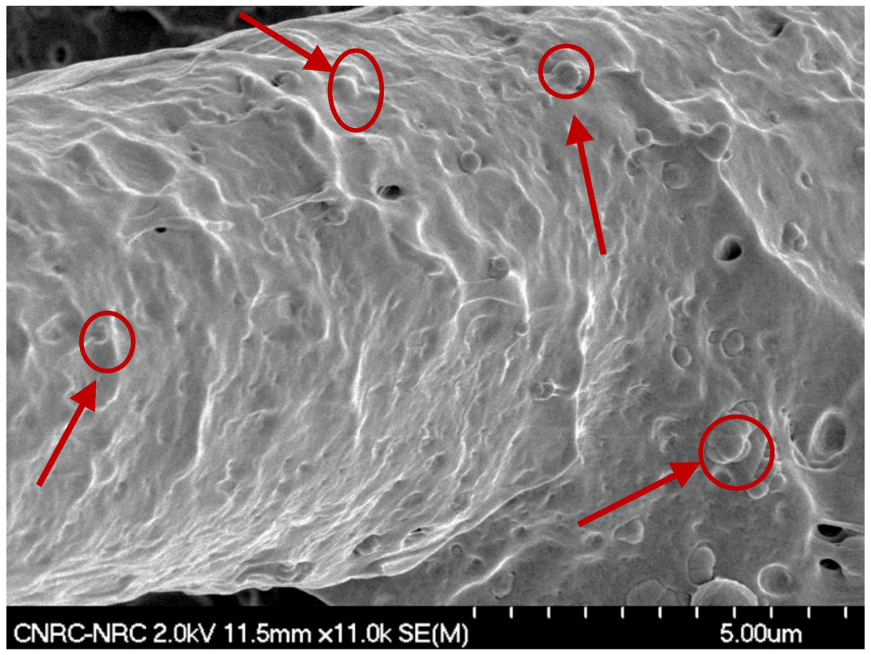 Molecules 25 01517 g011 Molecules 25 01517 g011