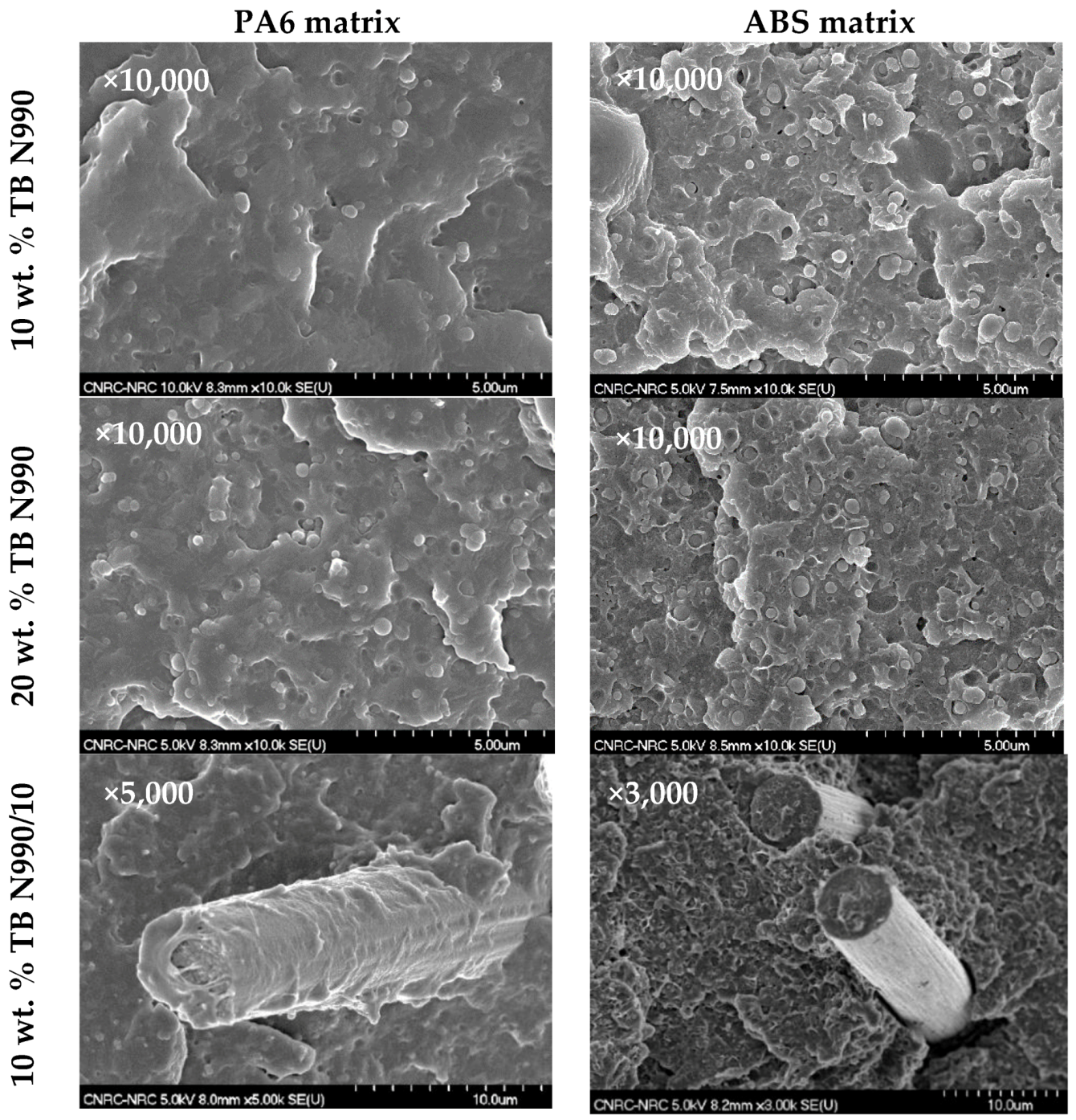 Molecules 25 01517 g013 Molecules 25 01517 g013
