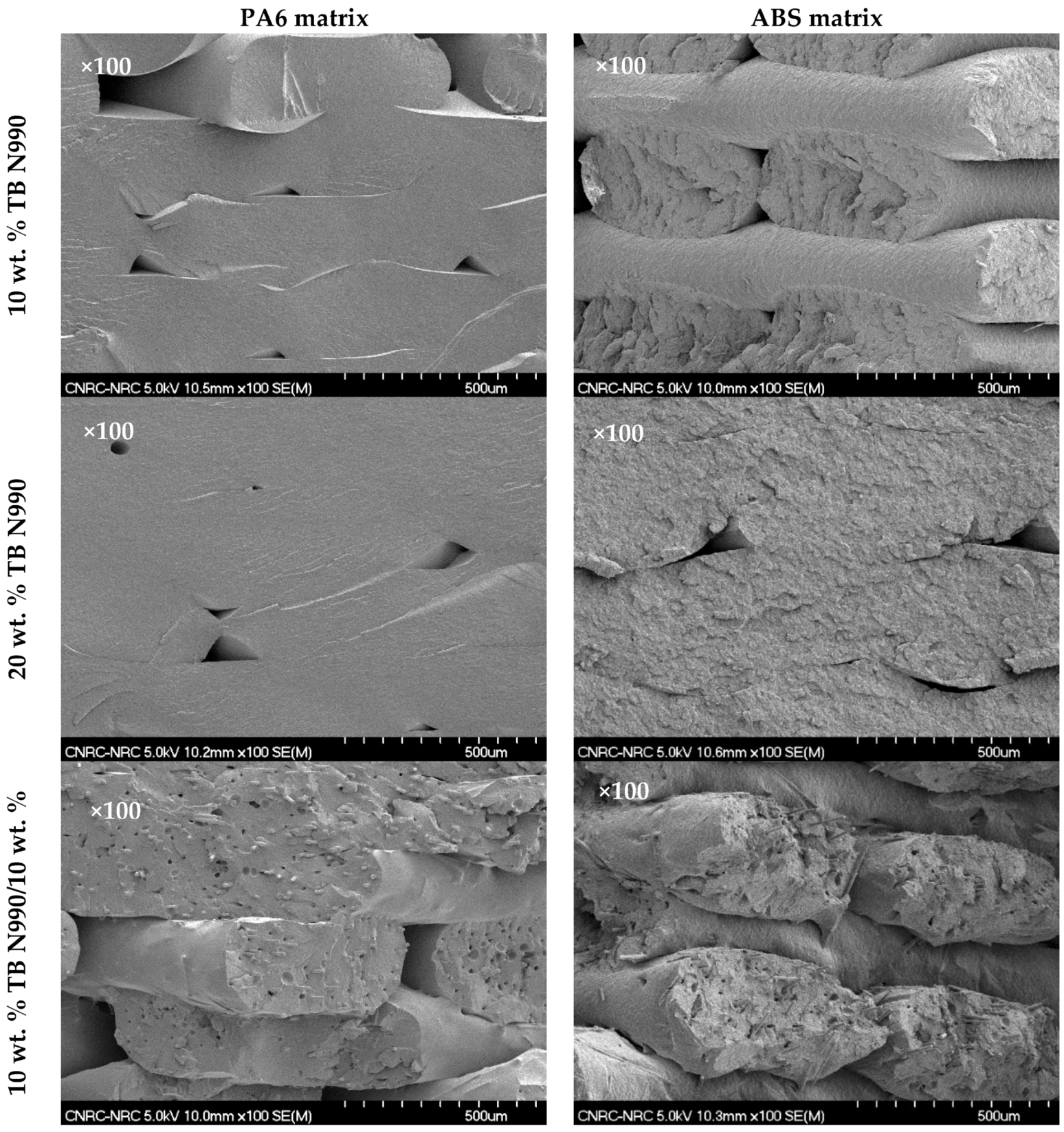 Molecules 25 01517 g014 Molecules 25 01517 g014