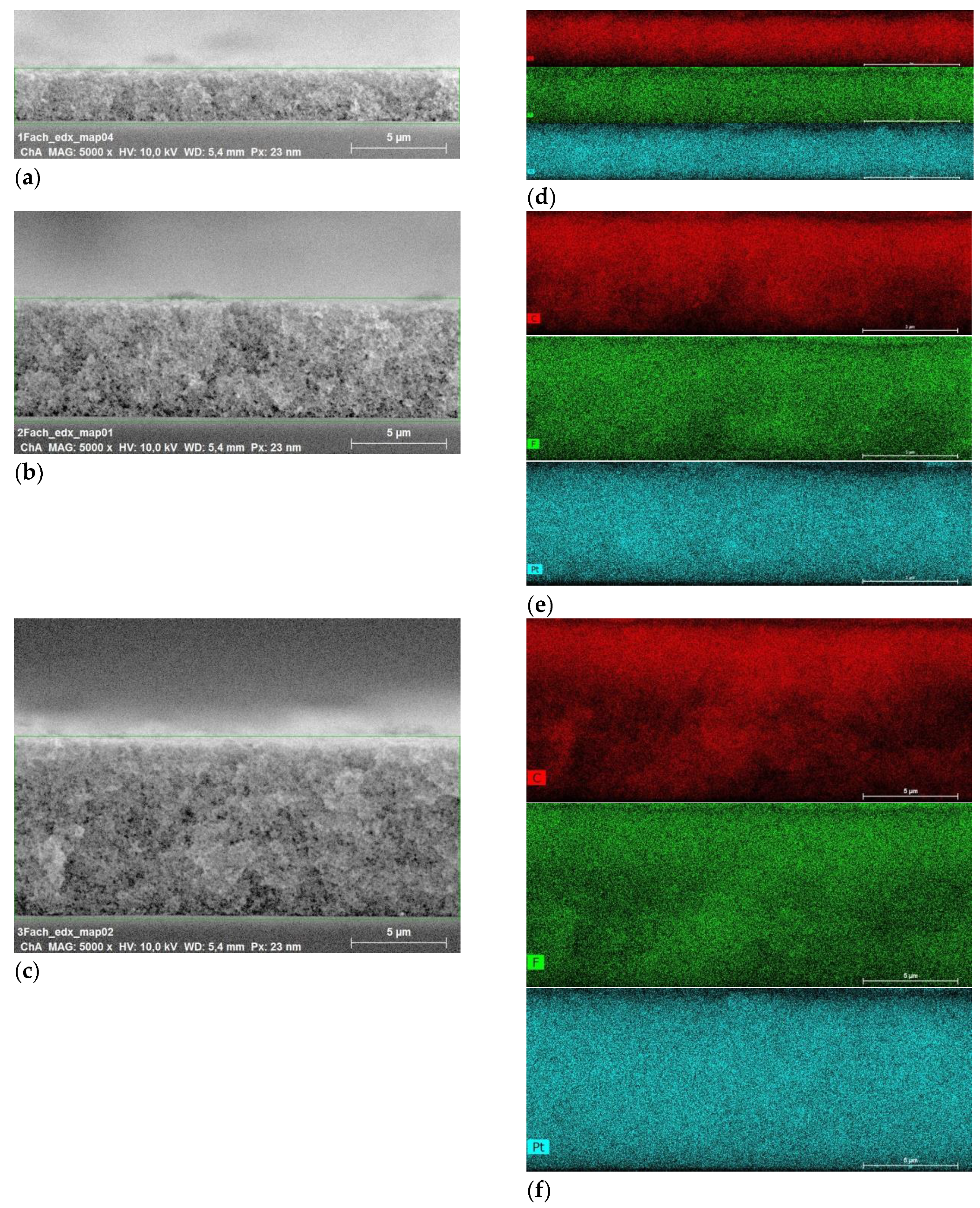 Molecules 25 01523 g001
