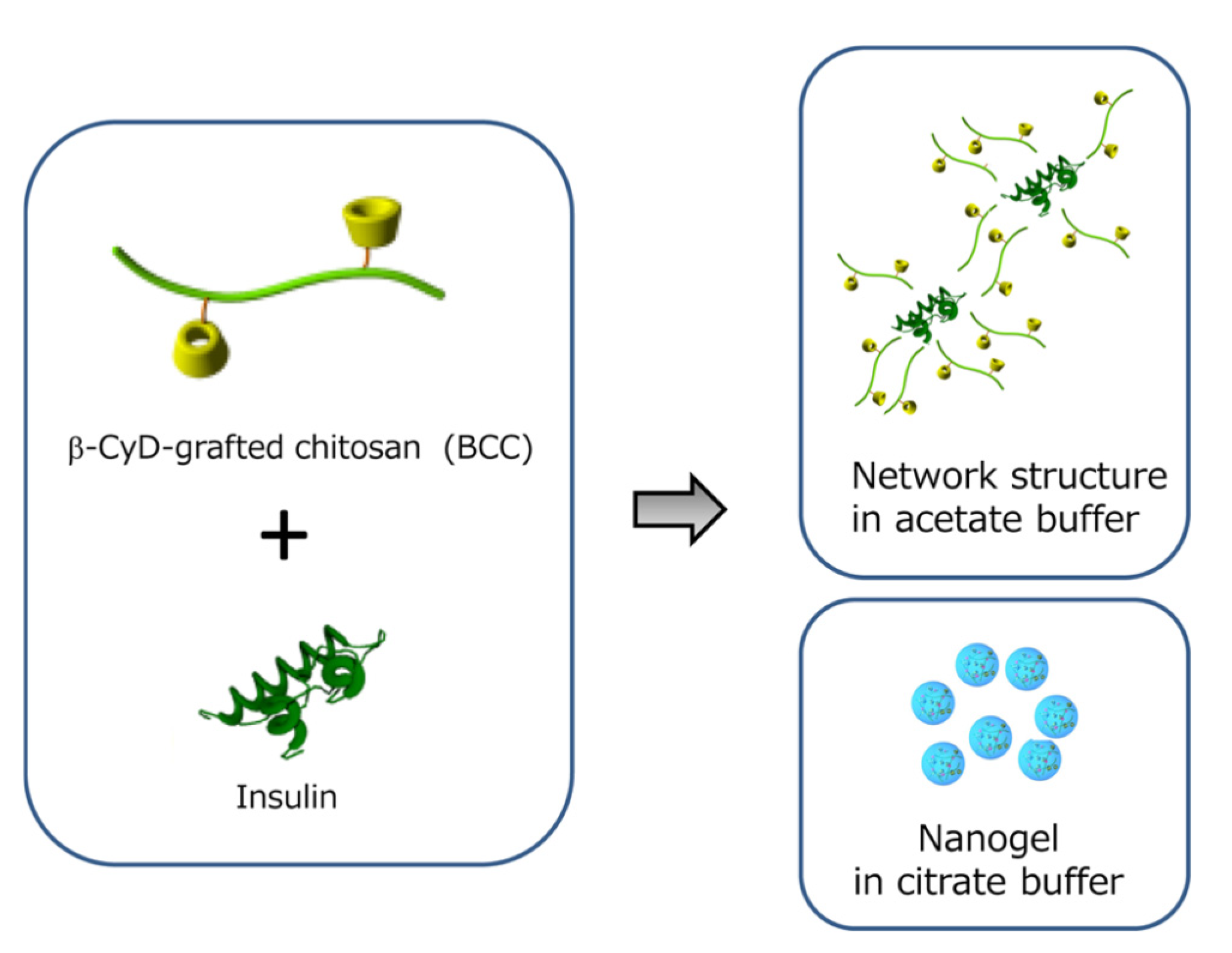 Molecules 25 01534 g006 Molecules 25 01534 g006