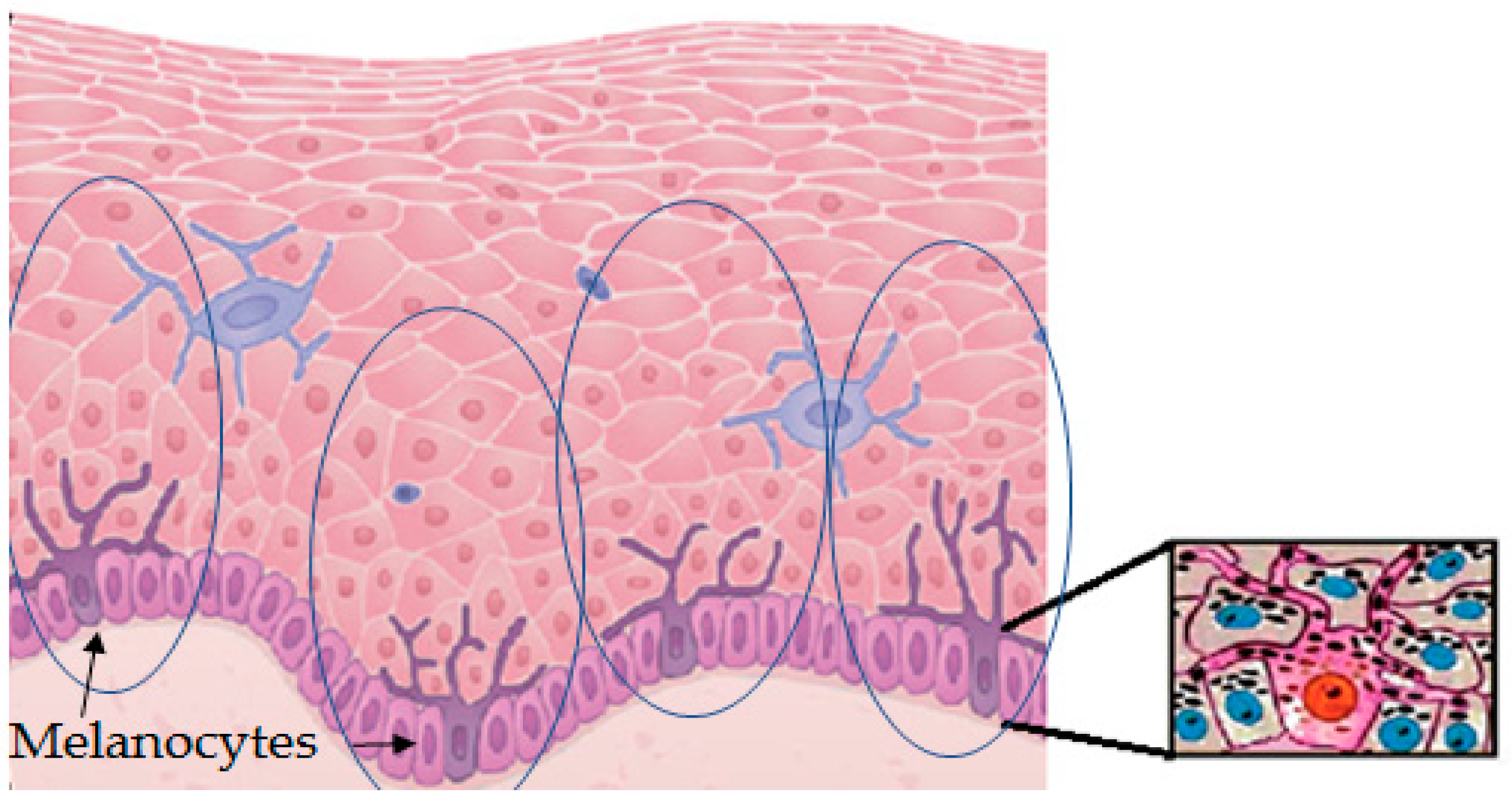 Molecules 25 01537 g002 Molecules 25 01537 g002