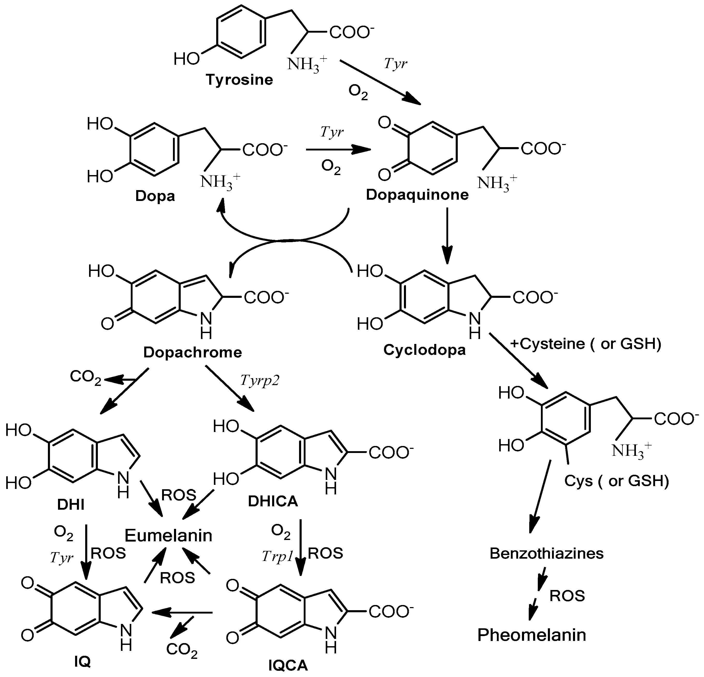 Molecules 25 01537 g003 Molecules 25 01537 g003