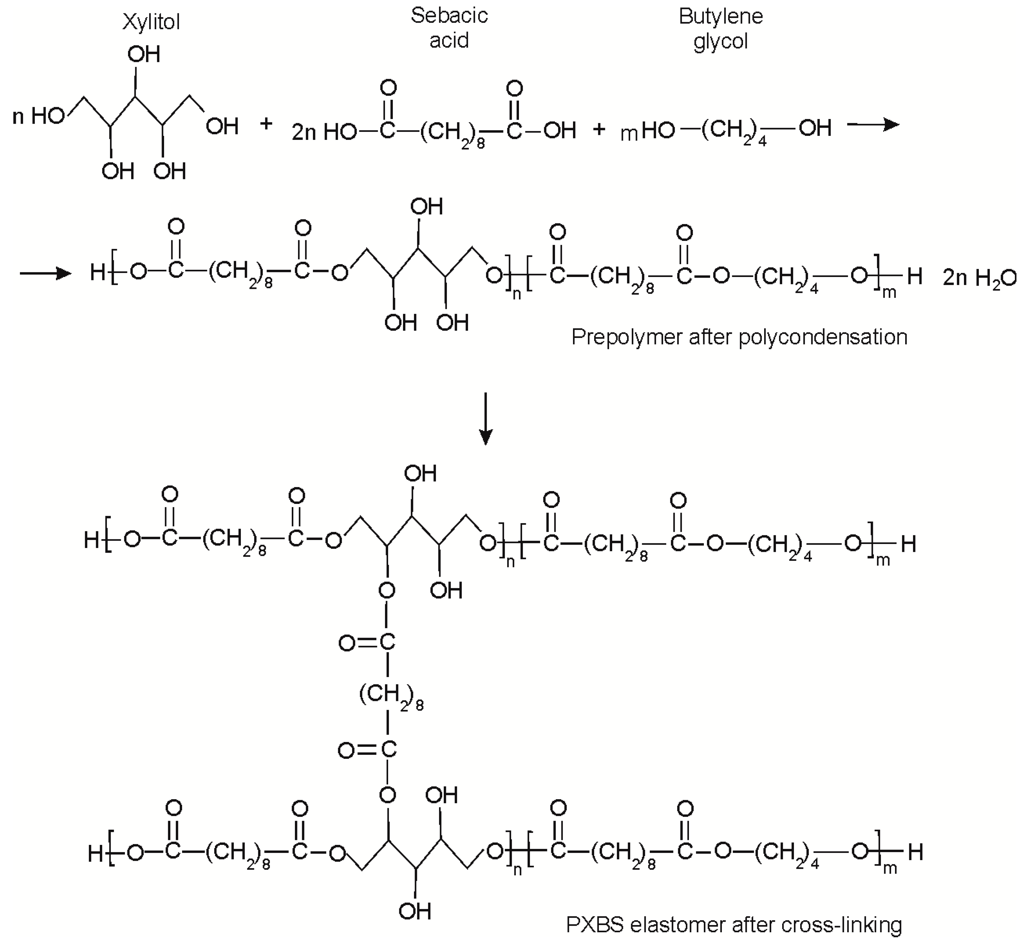 Molecules 25 01541 g001
