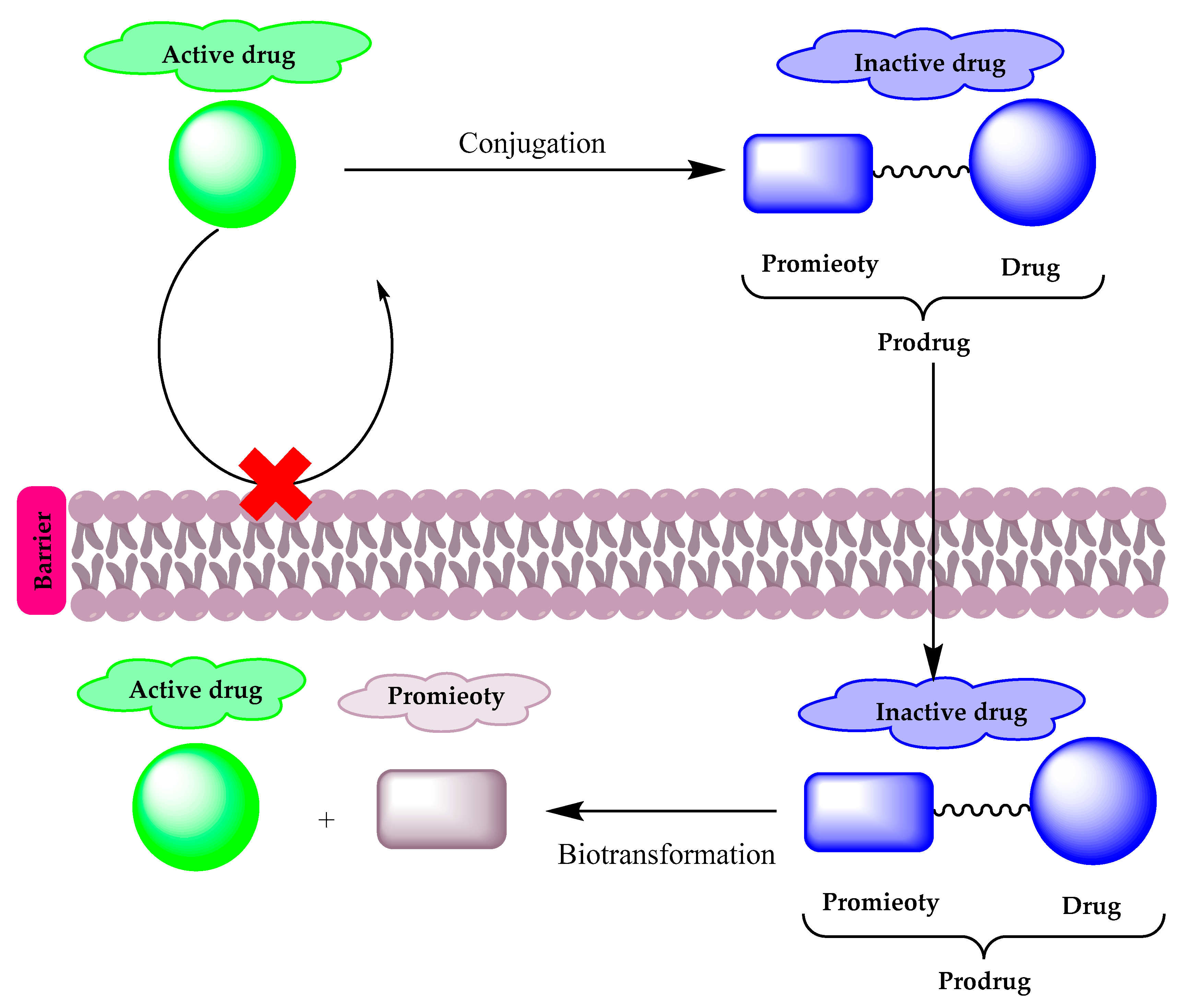 Molecules 25 01543 g001