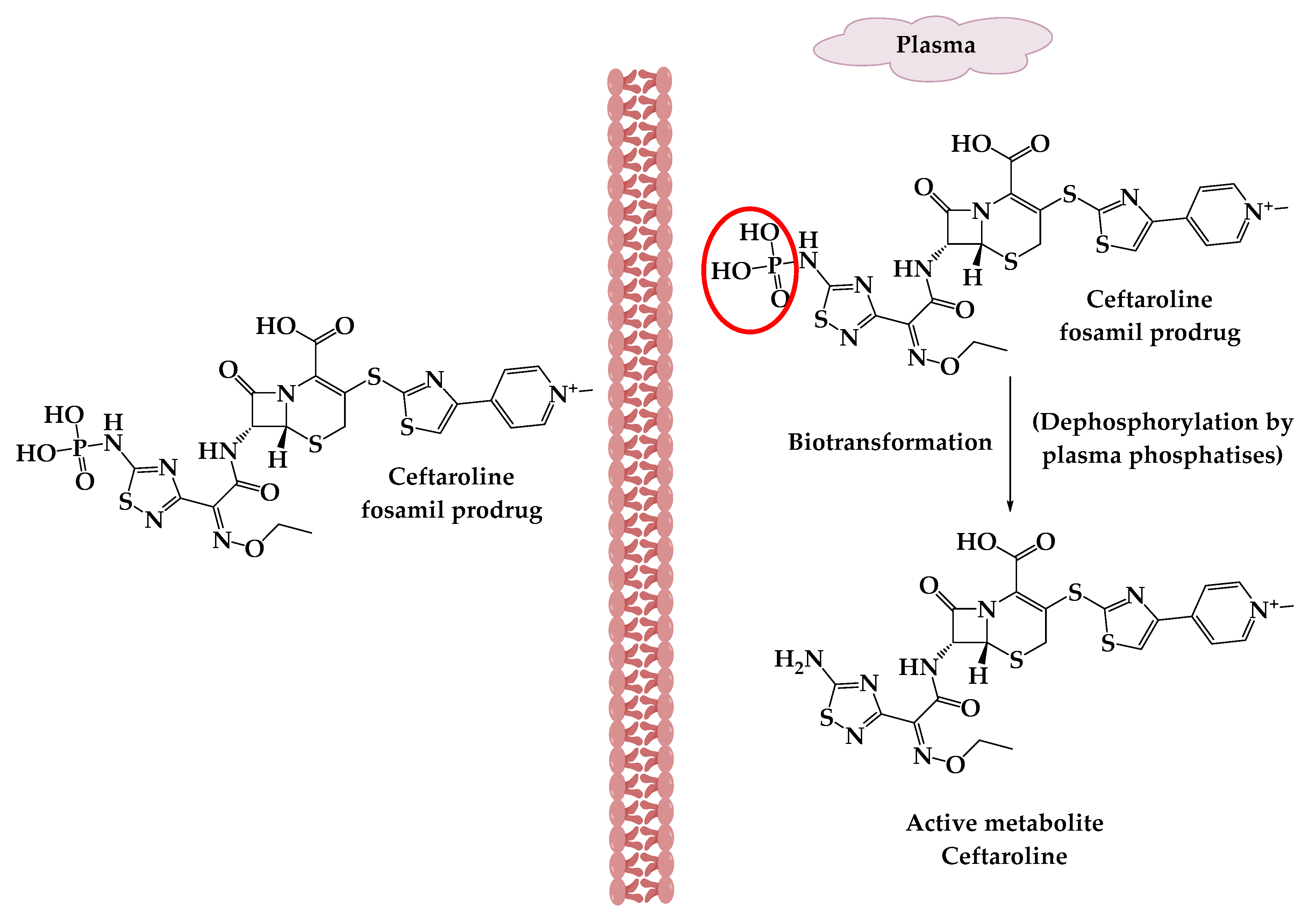 Molecules 25 01543 g003