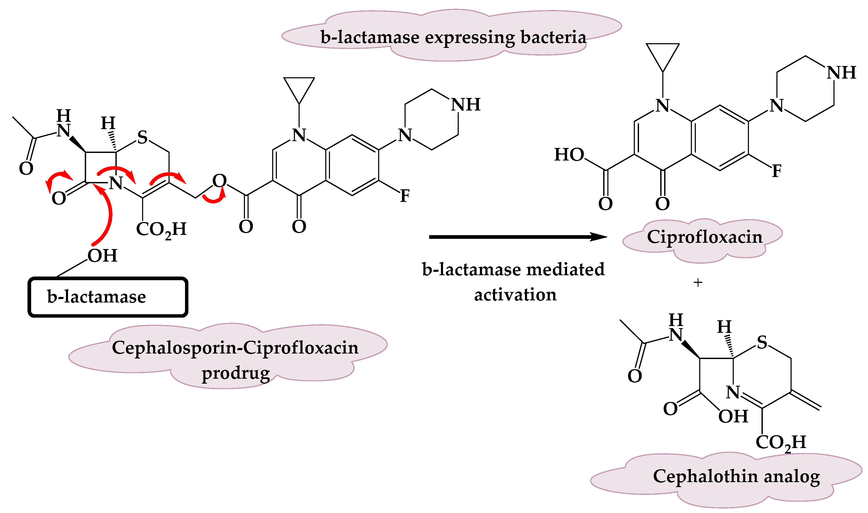Molecules 25 01543 g004