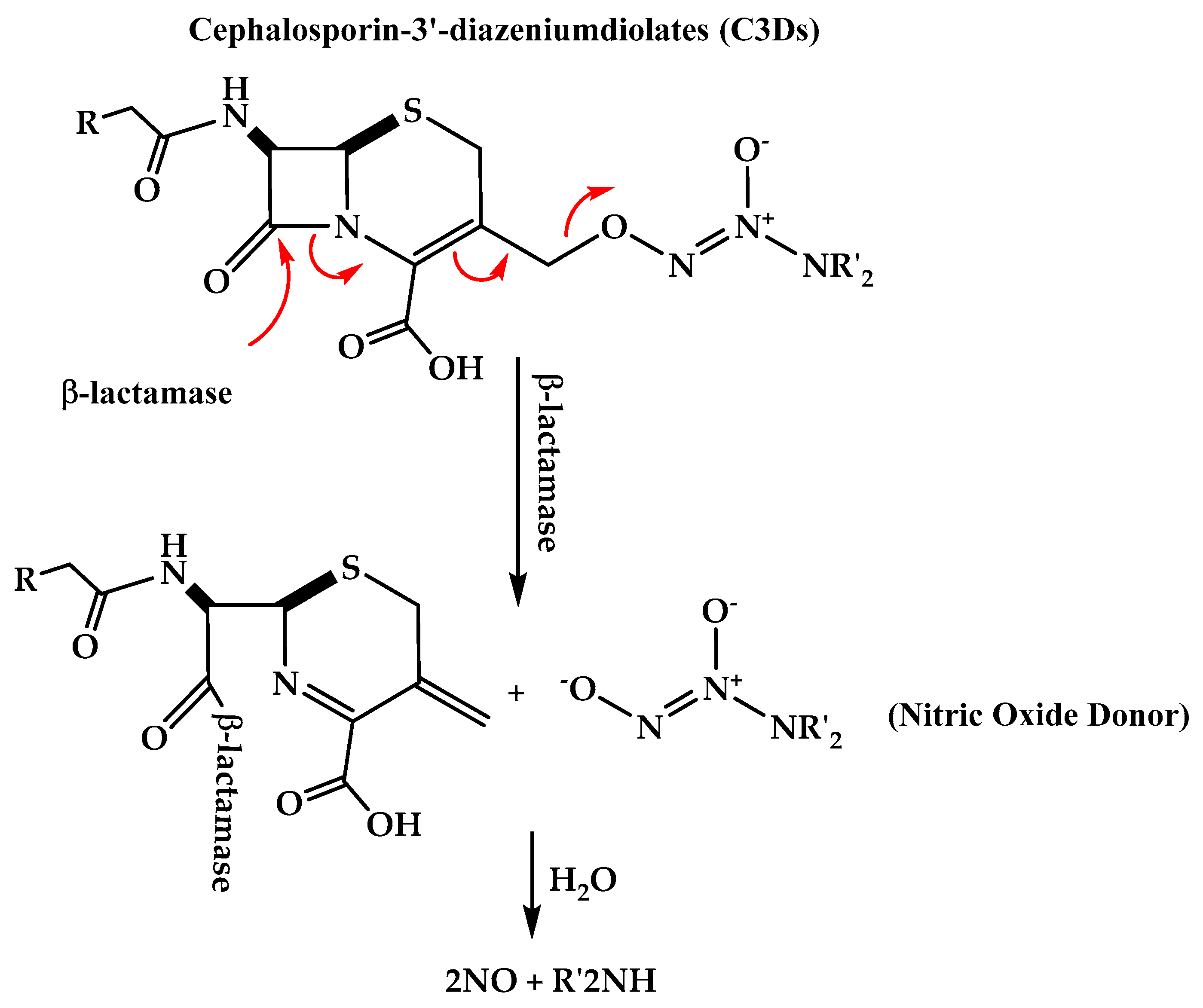 Molecules 25 01543 g005