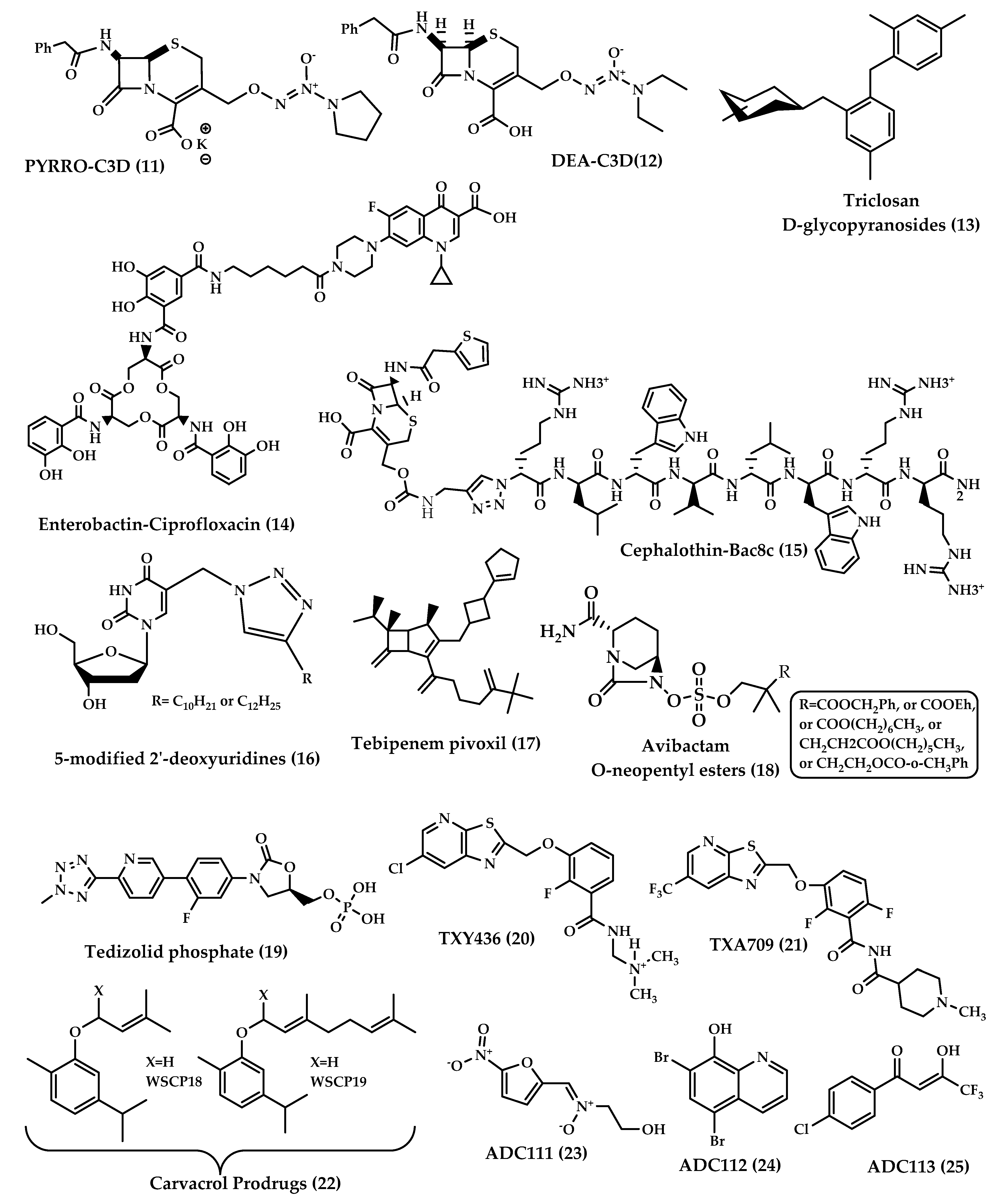 Molecules 25 01543 g006