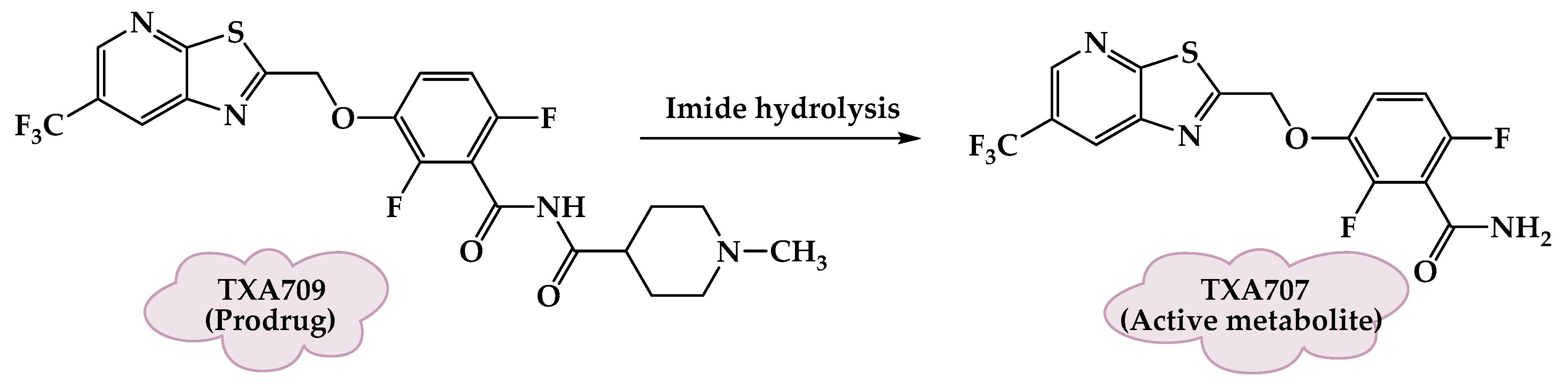 Molecules 25 01543 g008