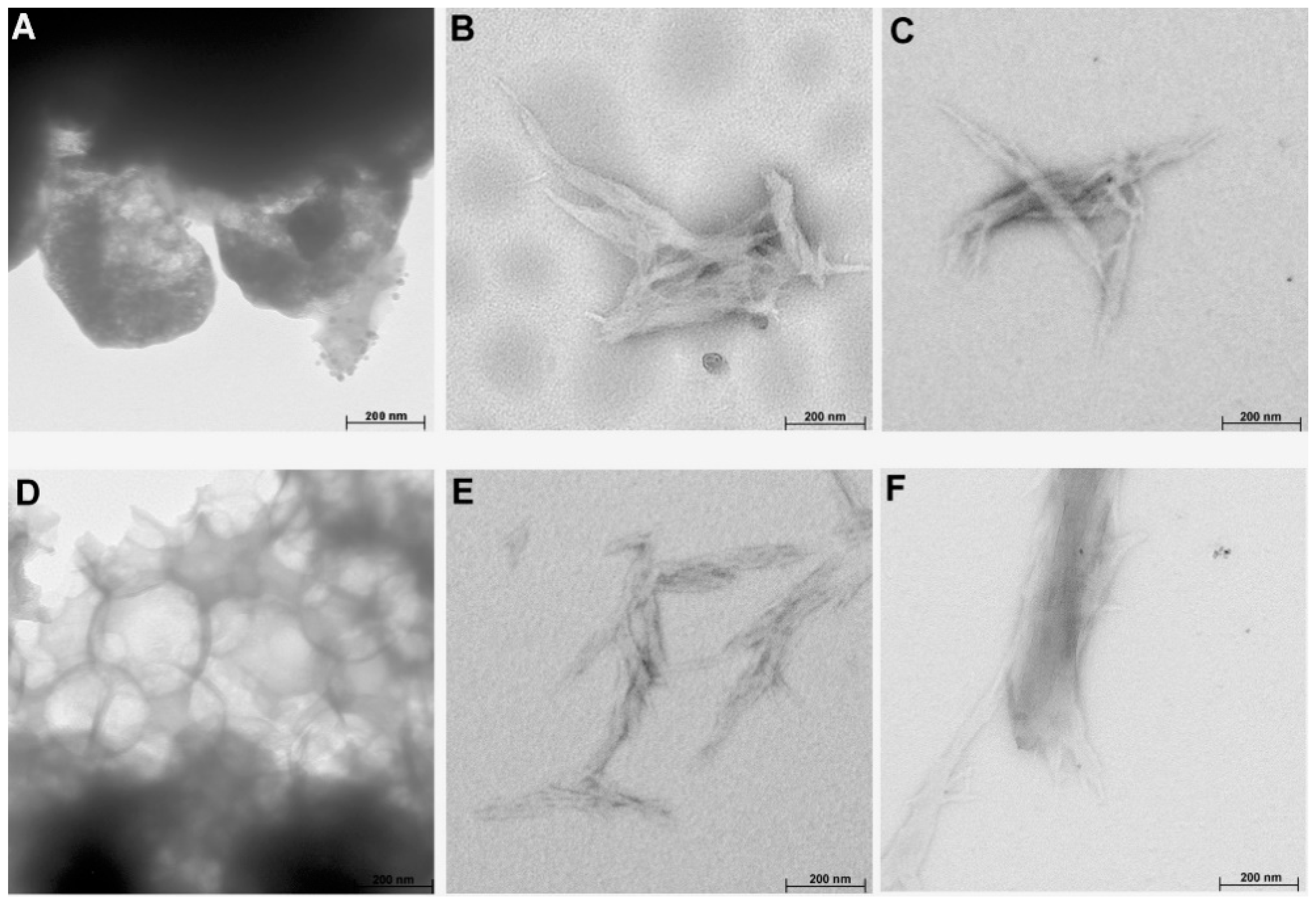 Molecules 25 01544 g006