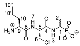 Molecules 25 01557 i029