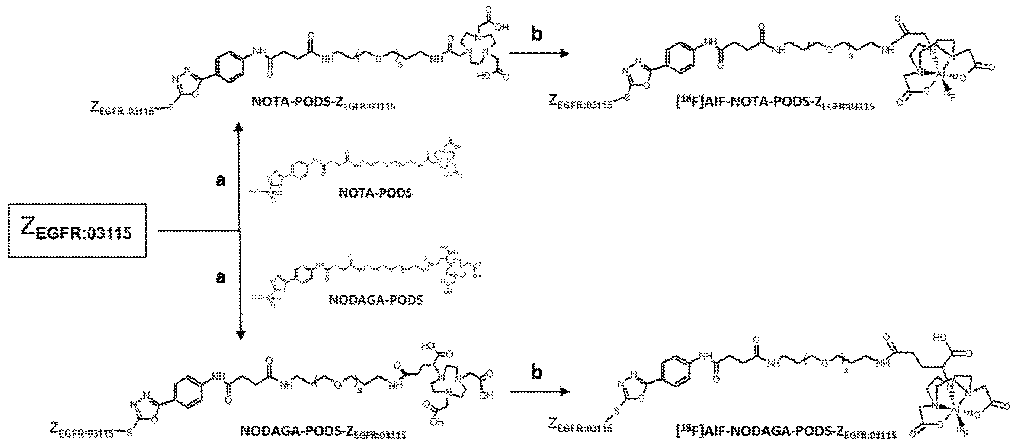 Molecules 25 01562 sch002 Molecules 25 01562 sch002
