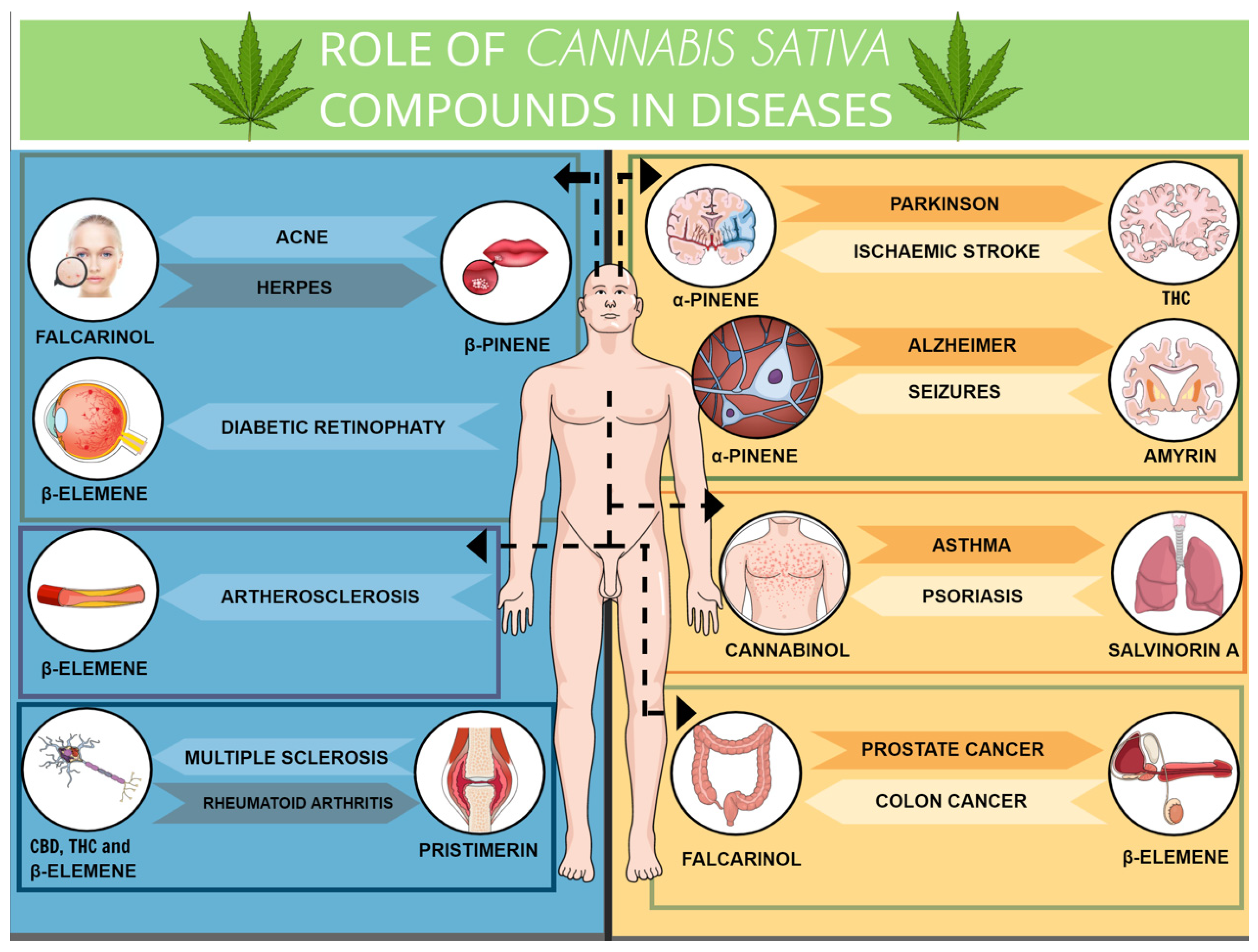 Molecules 25 01567 g003 Molecules 25 01567 g003