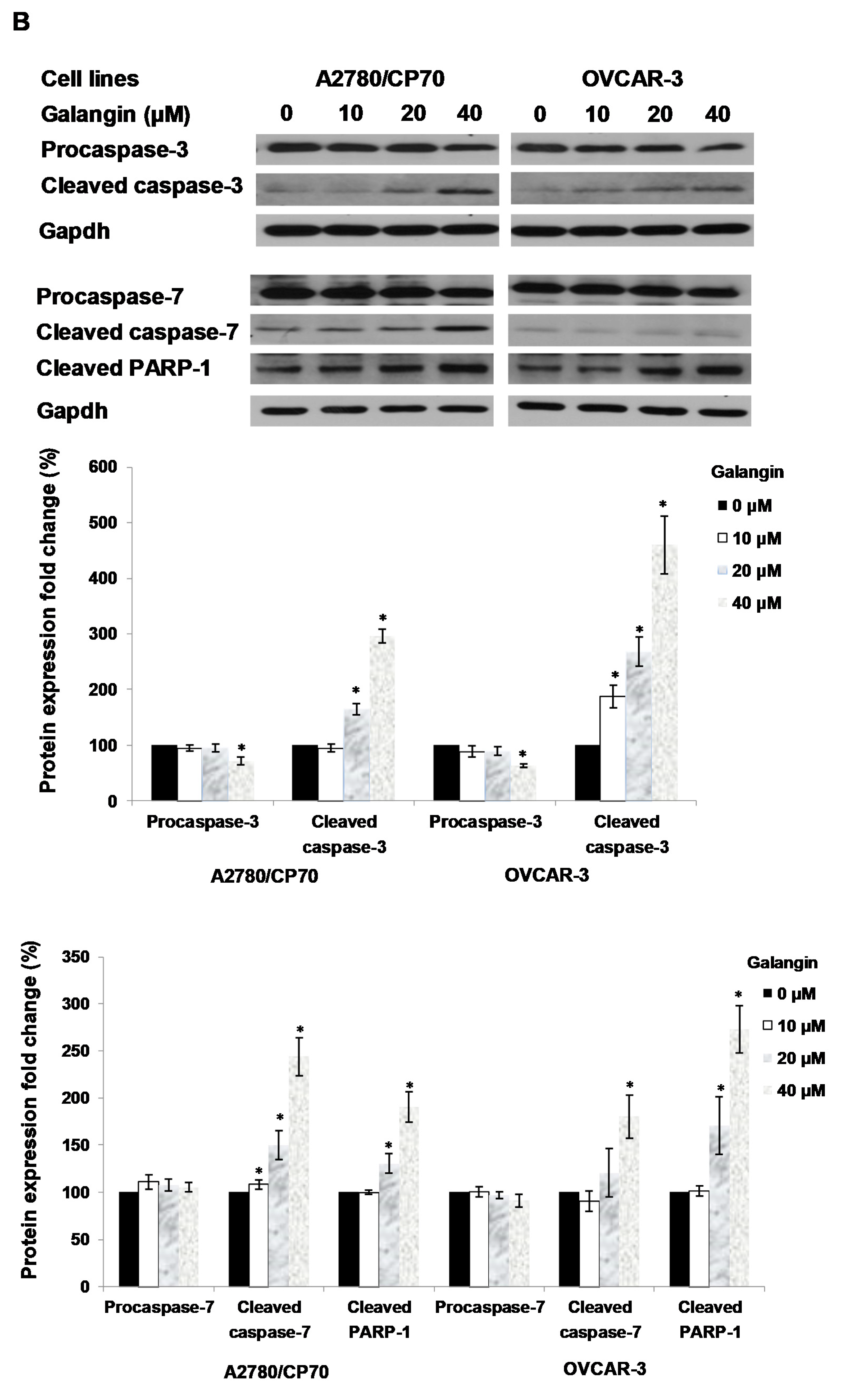 Molecules 25 01579 g005b