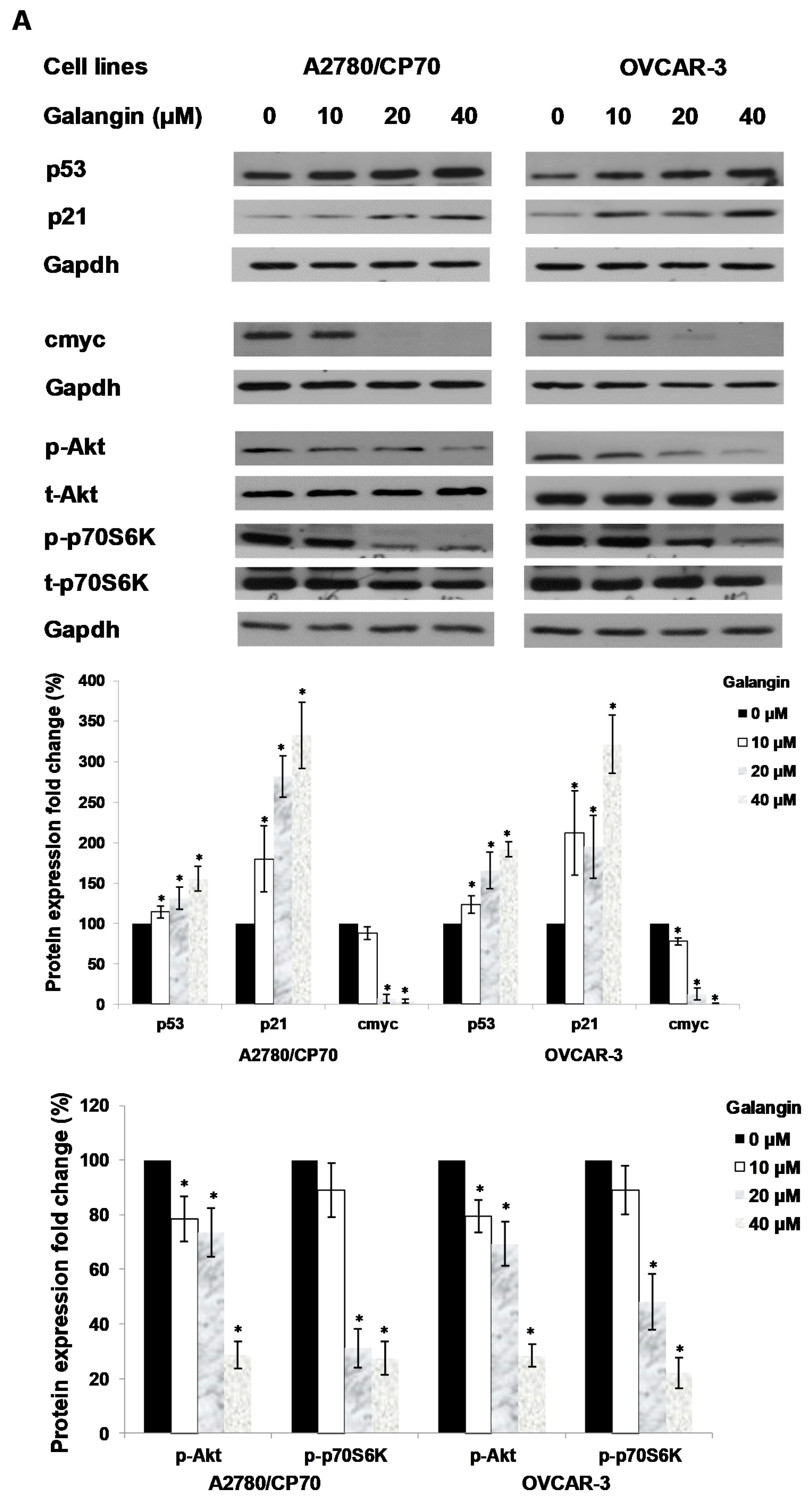 Molecules 25 01579 g006a