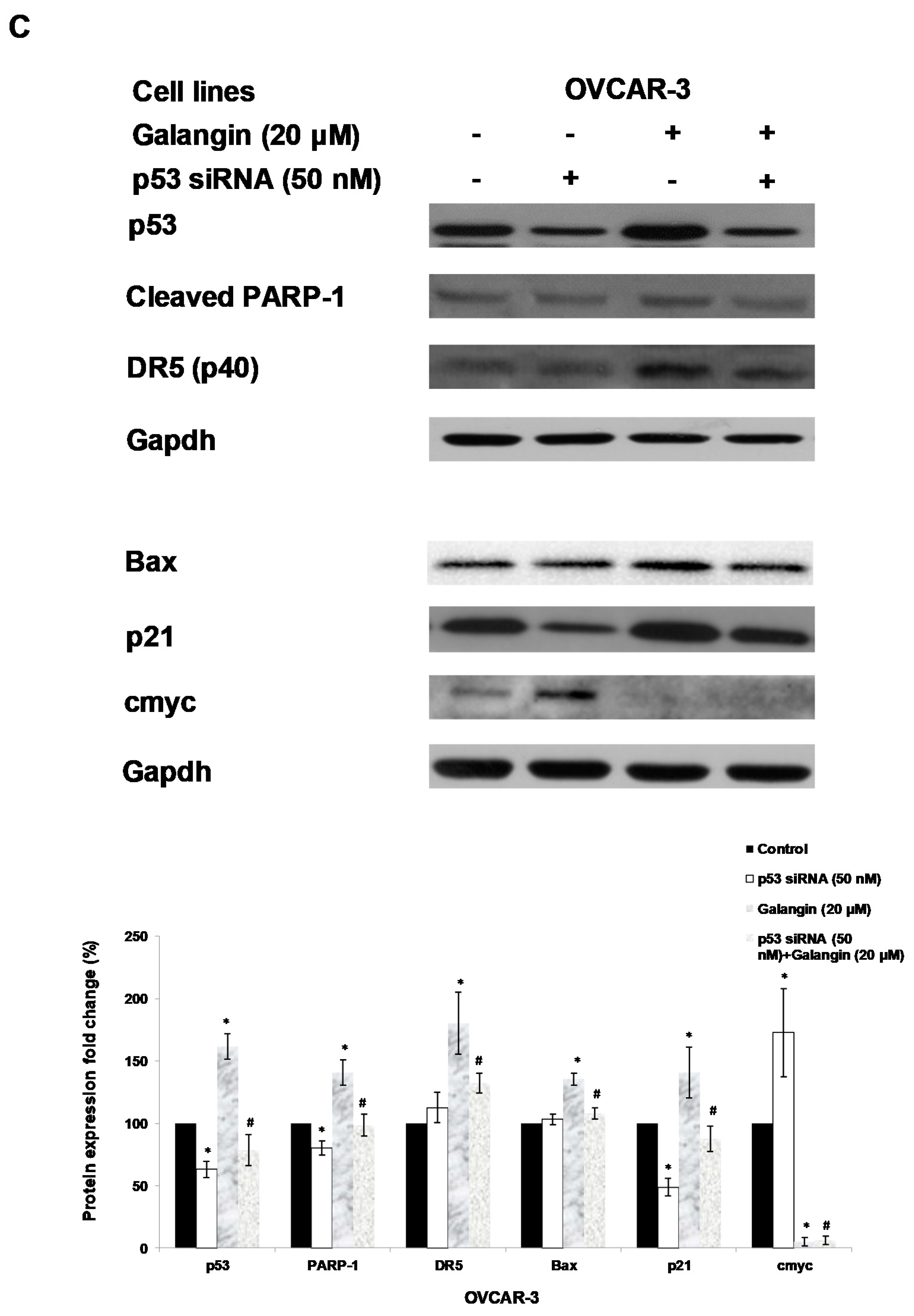 Molecules 25 01579 g006c