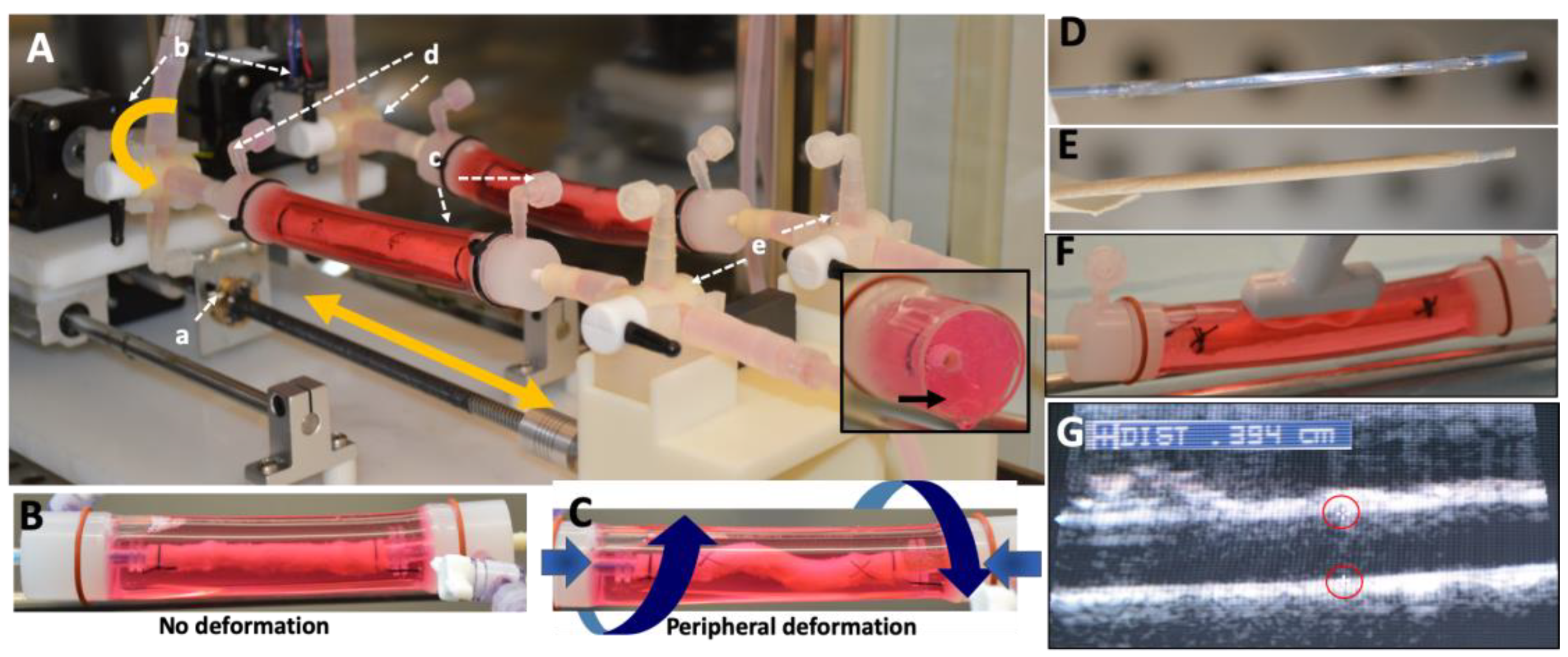 Molecules 25 01596 g001