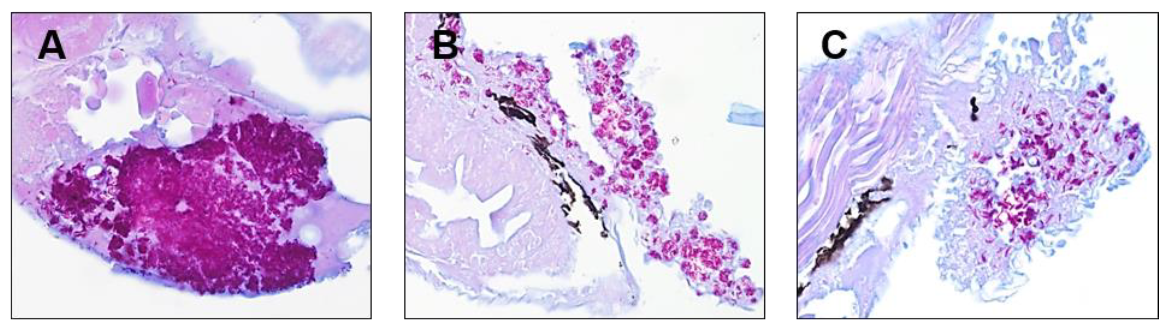 Molecules 25 01597 g005