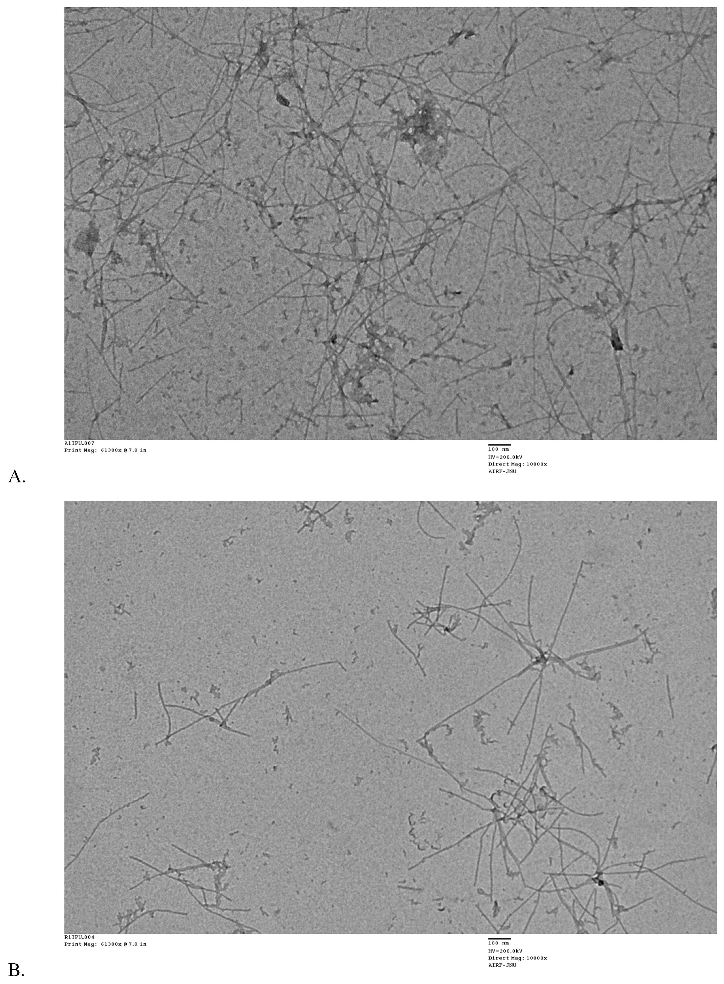 Molecules 25 01609 g008a Molecules 25 01609 g008a