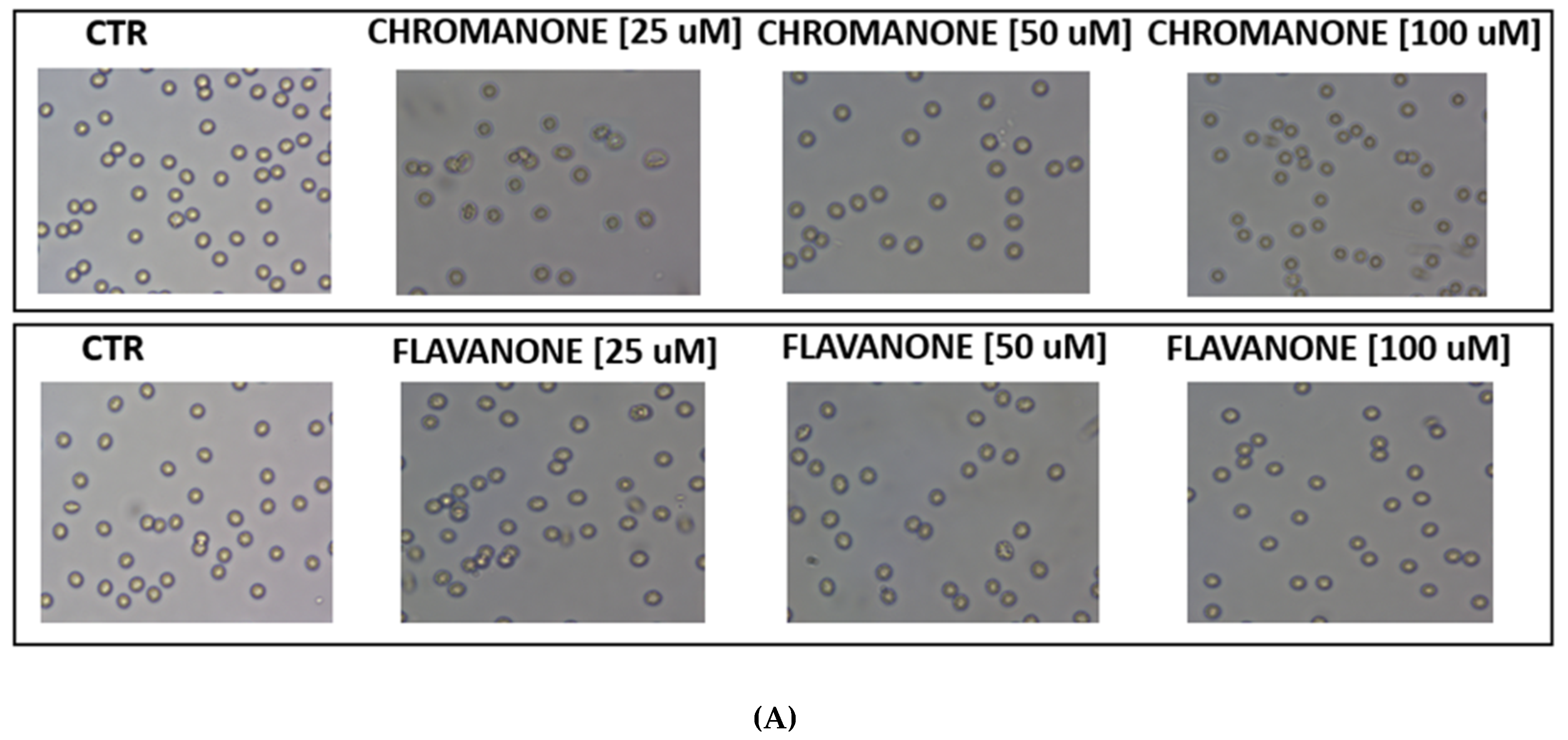Molecules 25 01613 g006a Molecules 25 01613 g006a