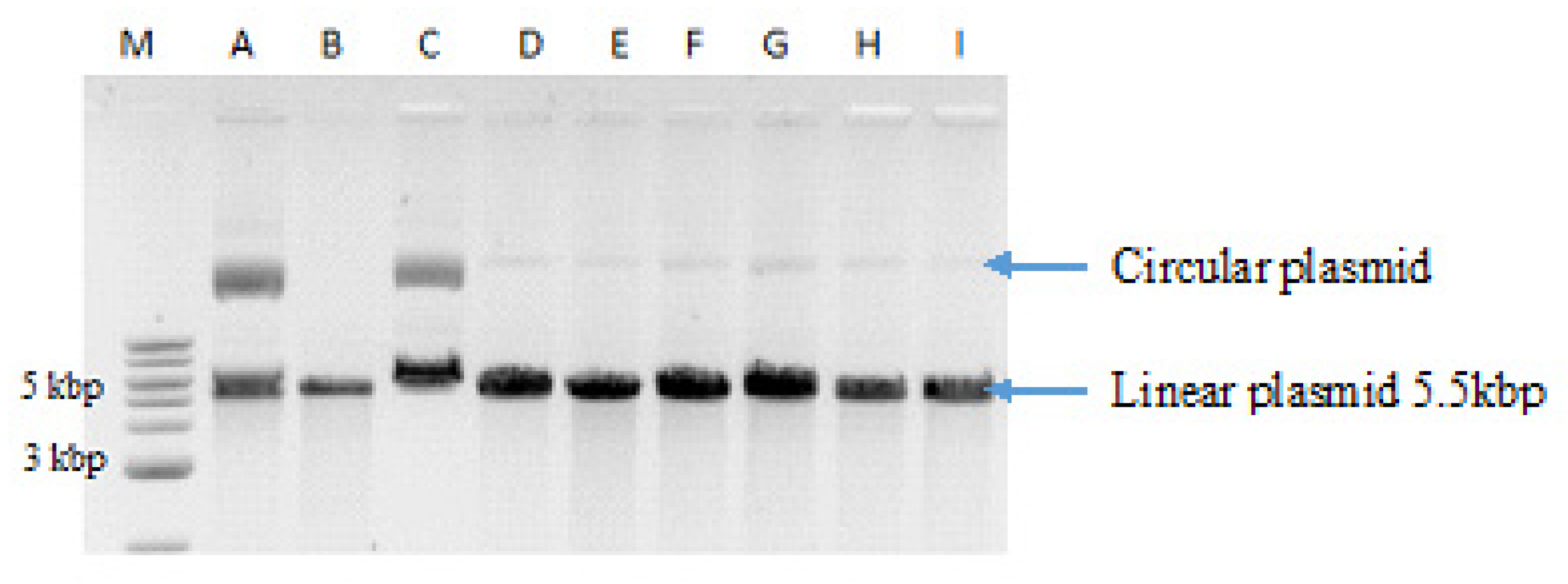 Molecules 25 01613 g007 Molecules 25 01613 g007