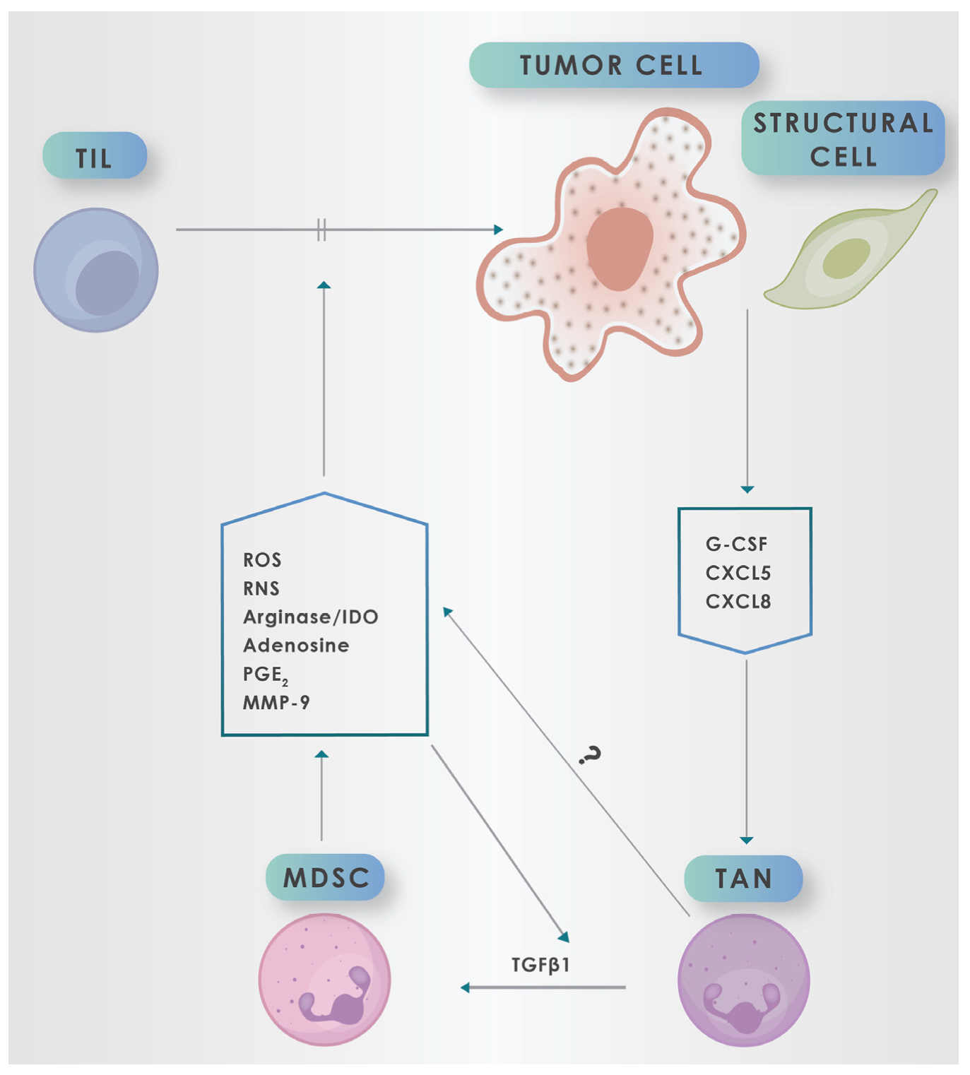 Molecules 25 01618 g001 Molecules 25 01618 g001