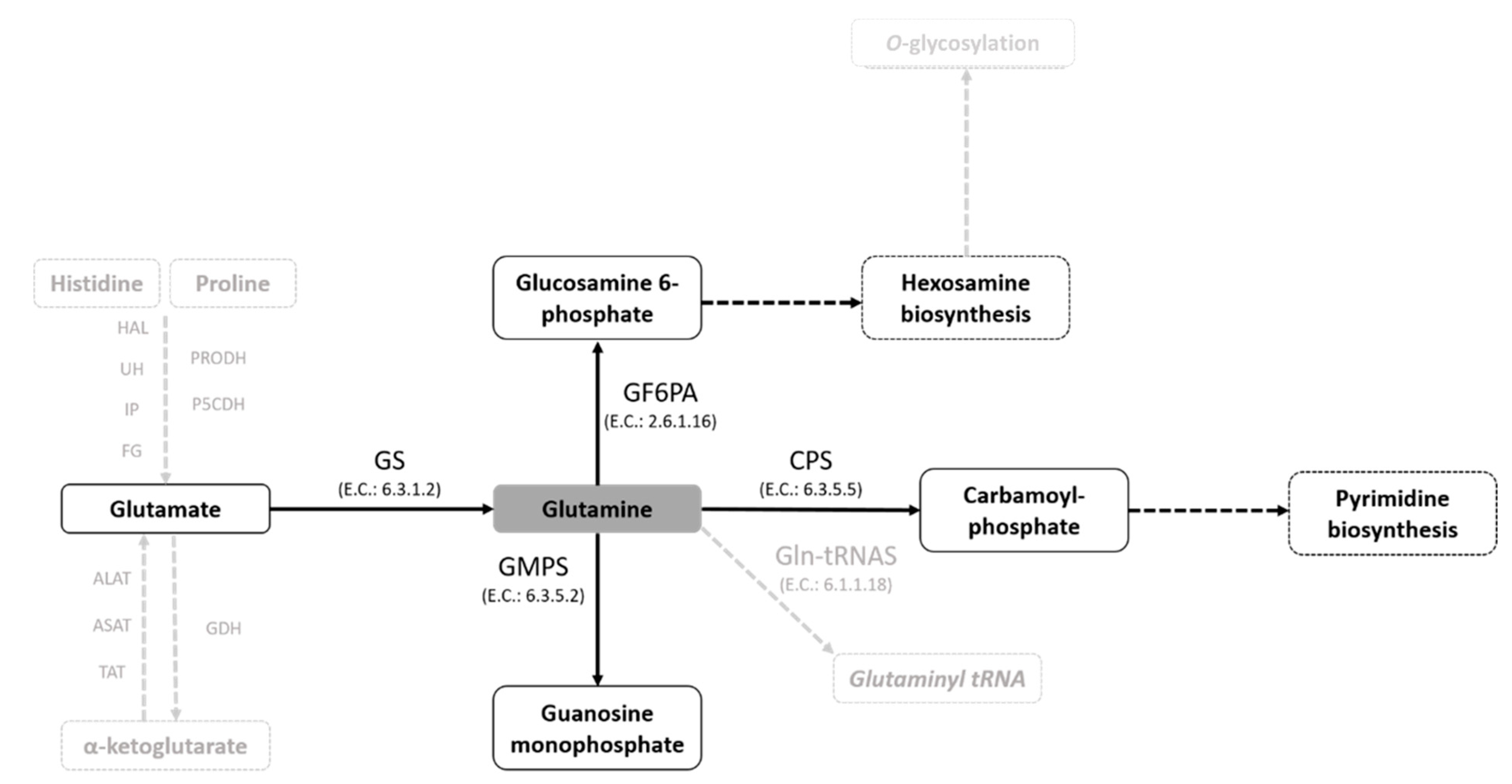 Molecules 25 01628 g007 Molecules 25 01628 g007