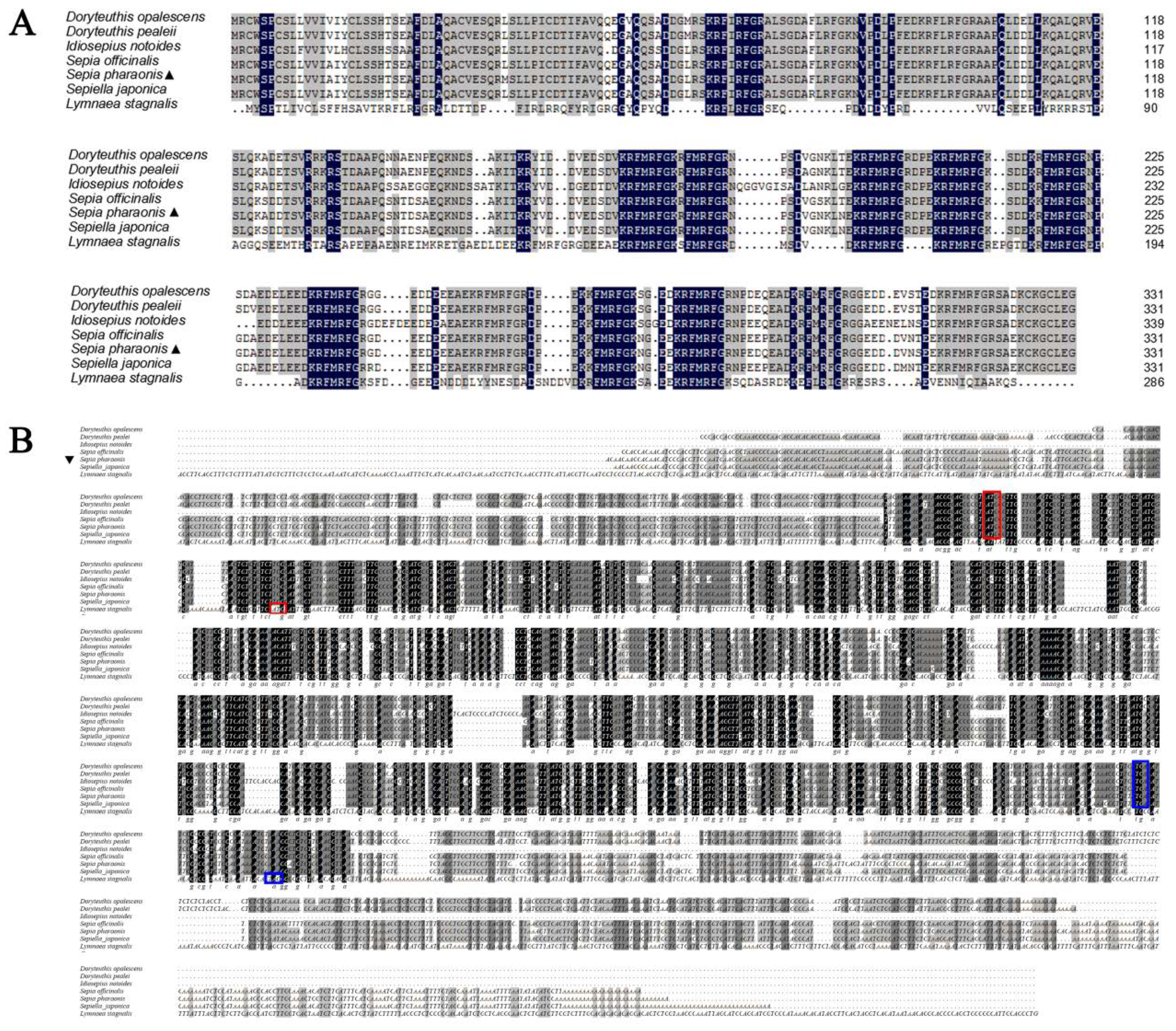Molecules 25 01636 g002