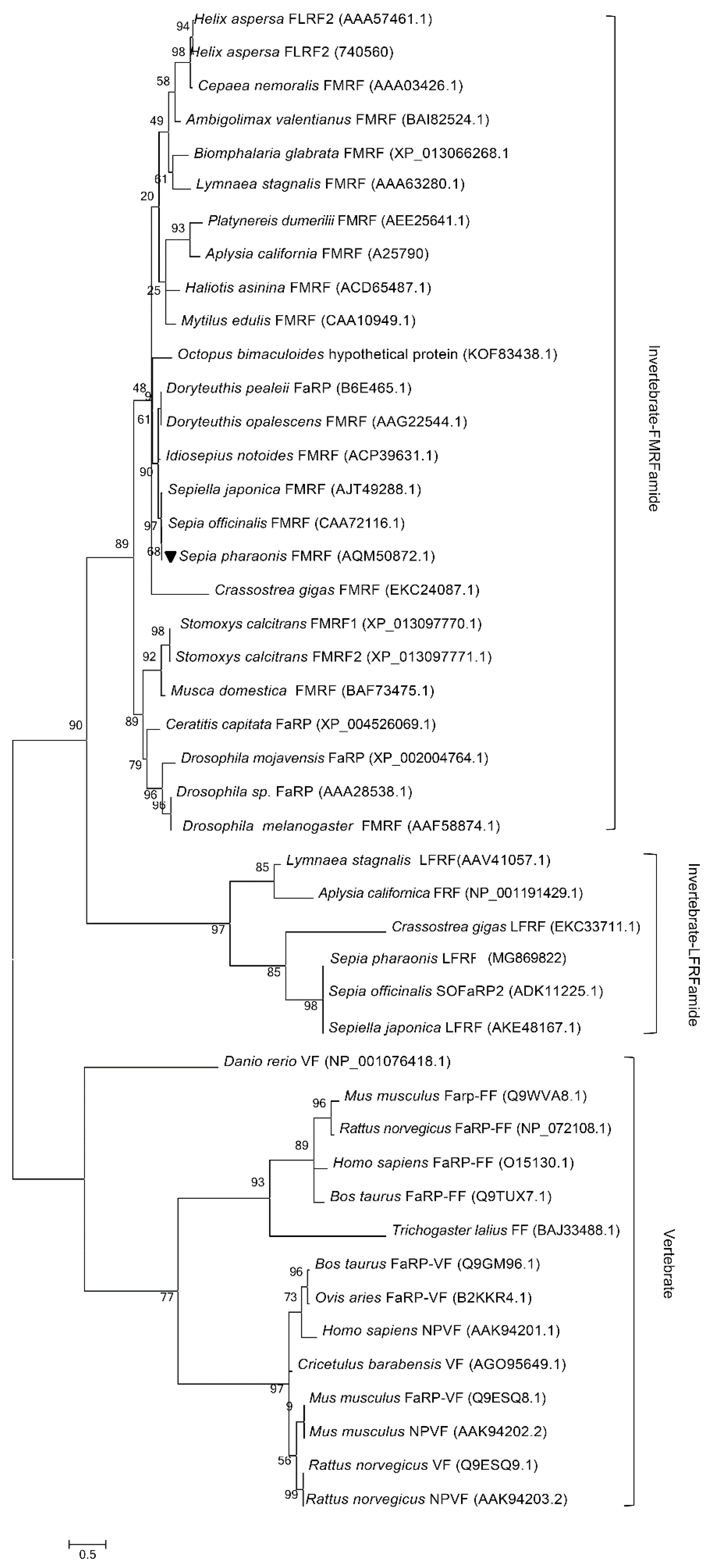Molecules 25 01636 g003