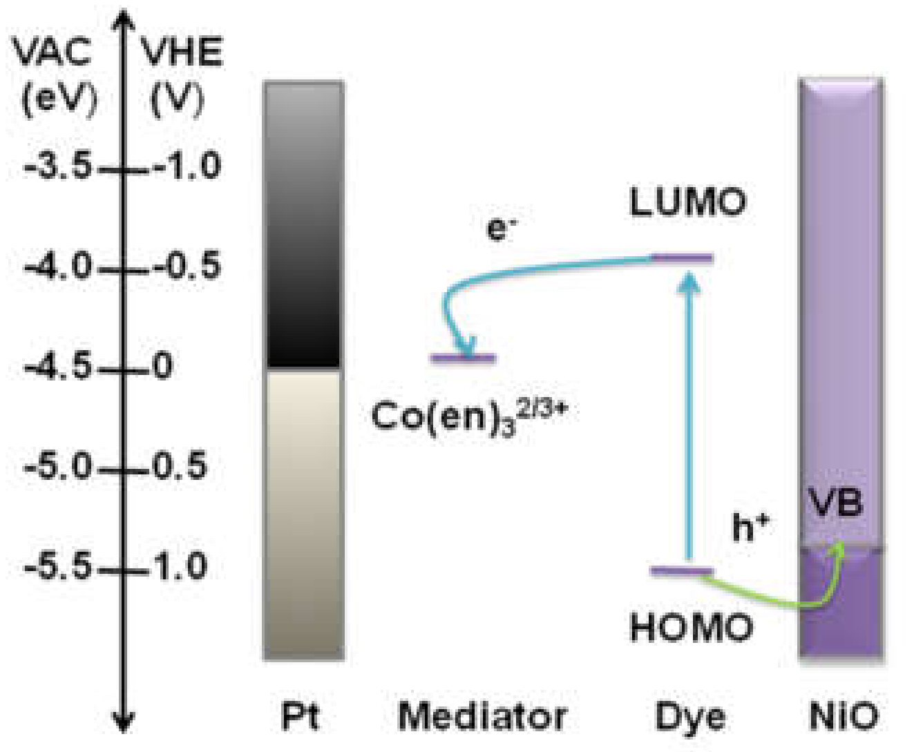 Molecules 25 01638 g001 Molecules 25 01638 g001
