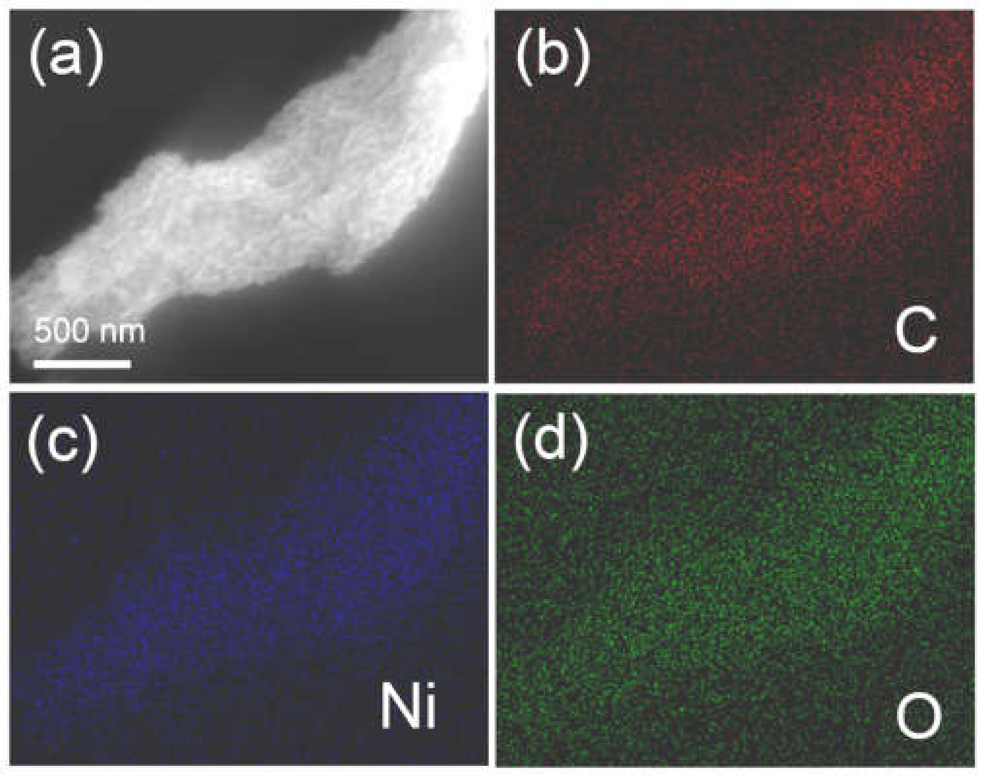 Molecules 25 01638 g004 Molecules 25 01638 g004