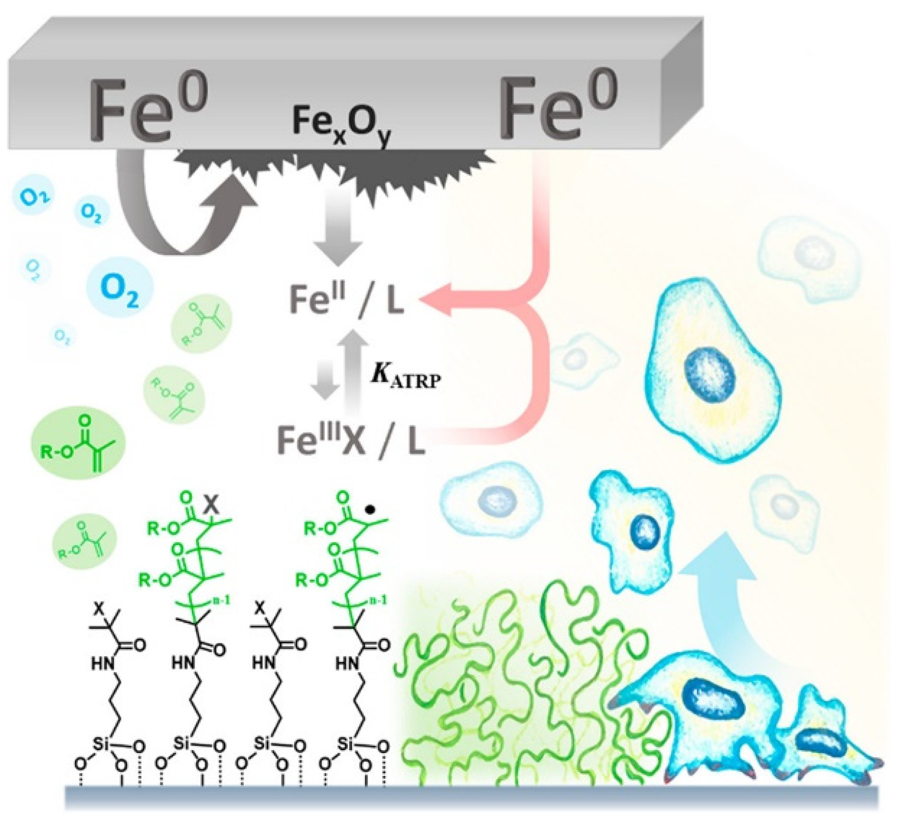 Molecules 25 01648 sch005 Molecules 25 01648 sch005