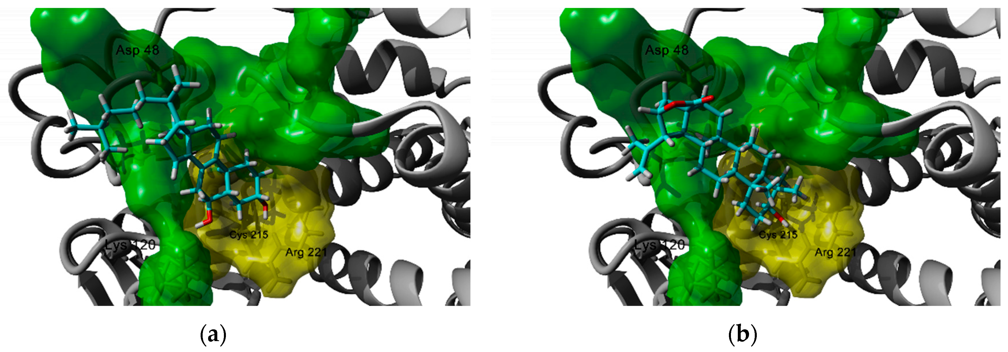 Molecules 25 01649 g002