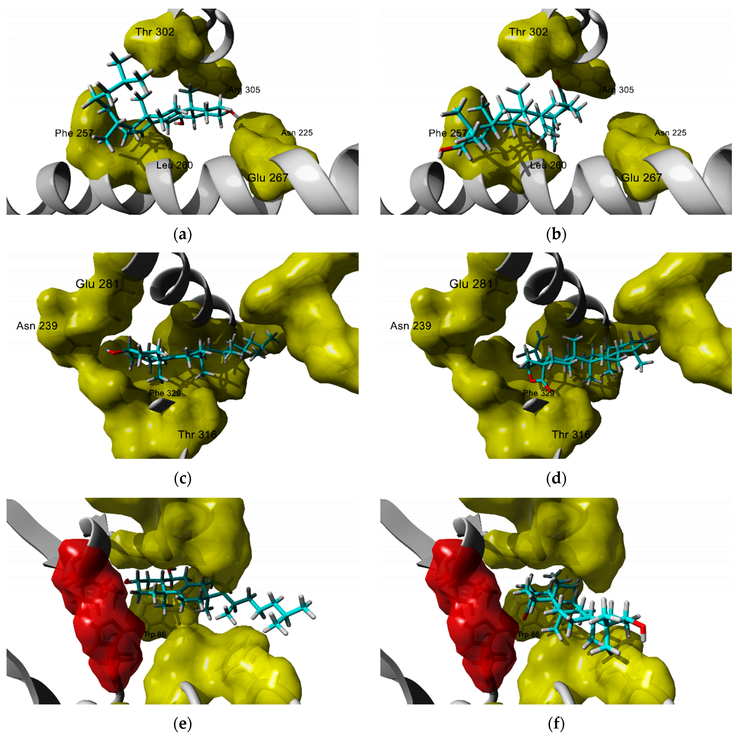 Molecules 25 01649 g004